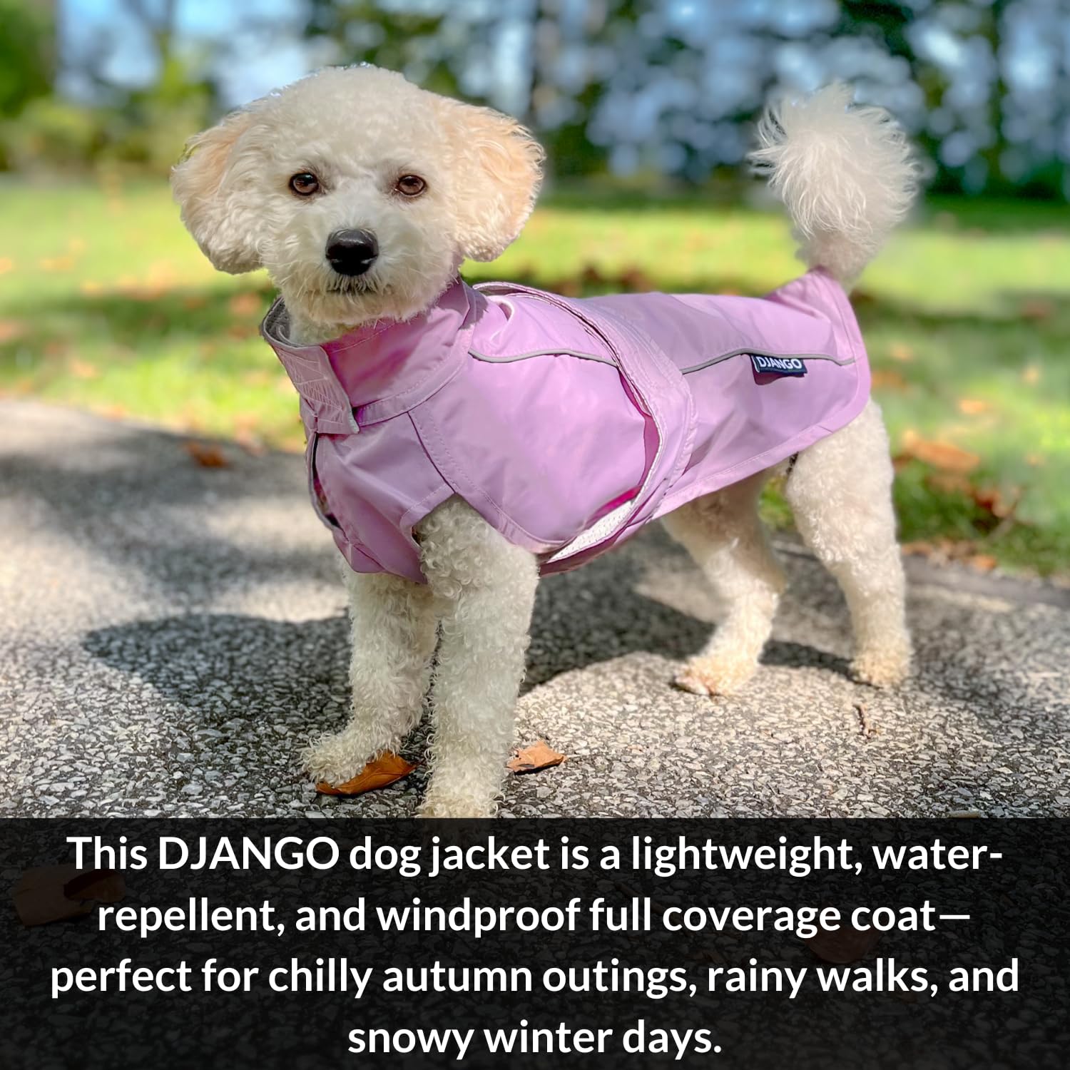 DJANGO City Slicker Waterproof Dog Raincoat and Lightweight Jacket for Long Dogs - Full Coverage Puppy Coat and Reflective Rain Slicker and Windbreaker - Adjustable with Harness Hole (Purple, Medium)
