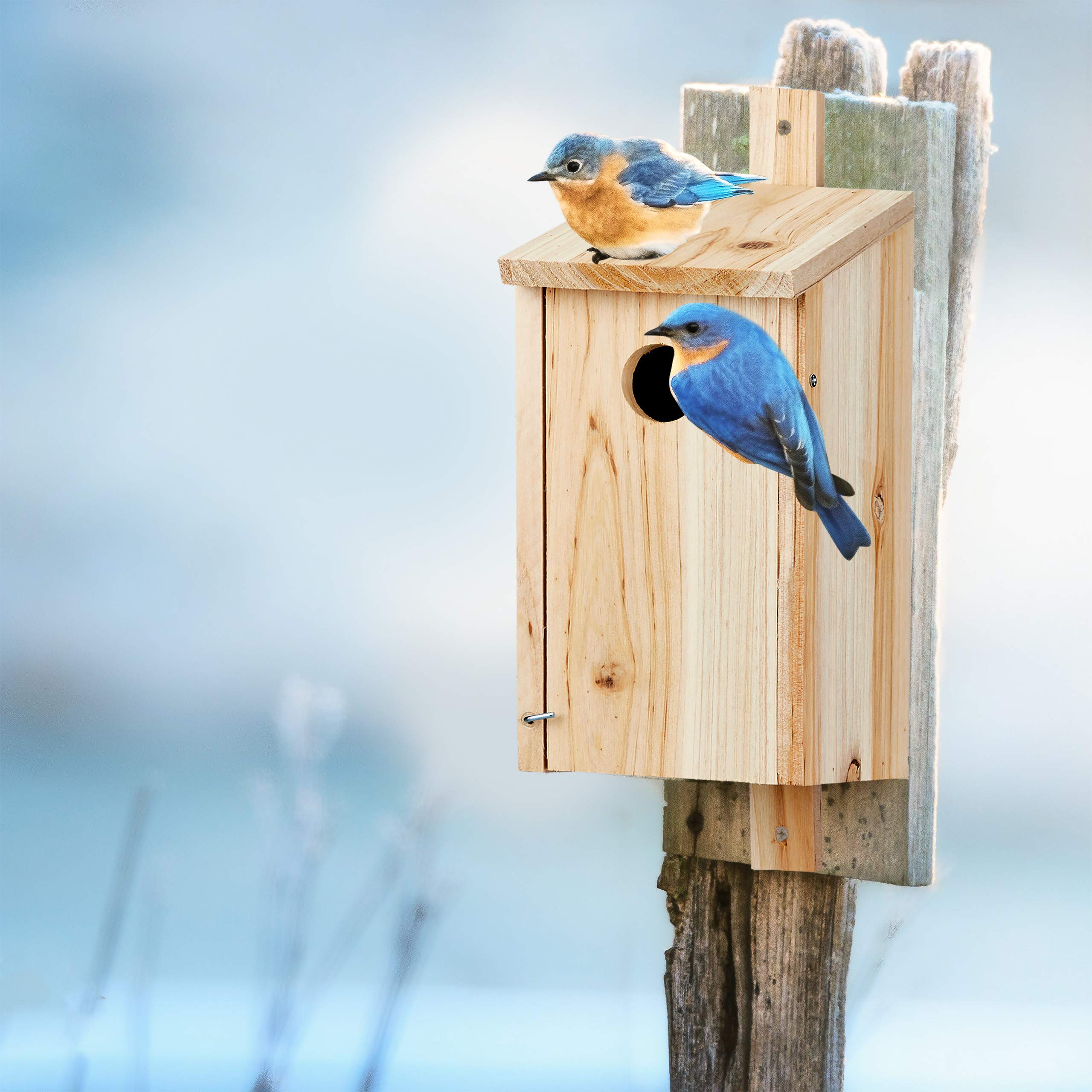 Relaxdays, nature Nichoir bois, maison oiseaux à suspendre, mésanges, Trou entrée Ø 3,2 cm, 26x12x14,5 cm