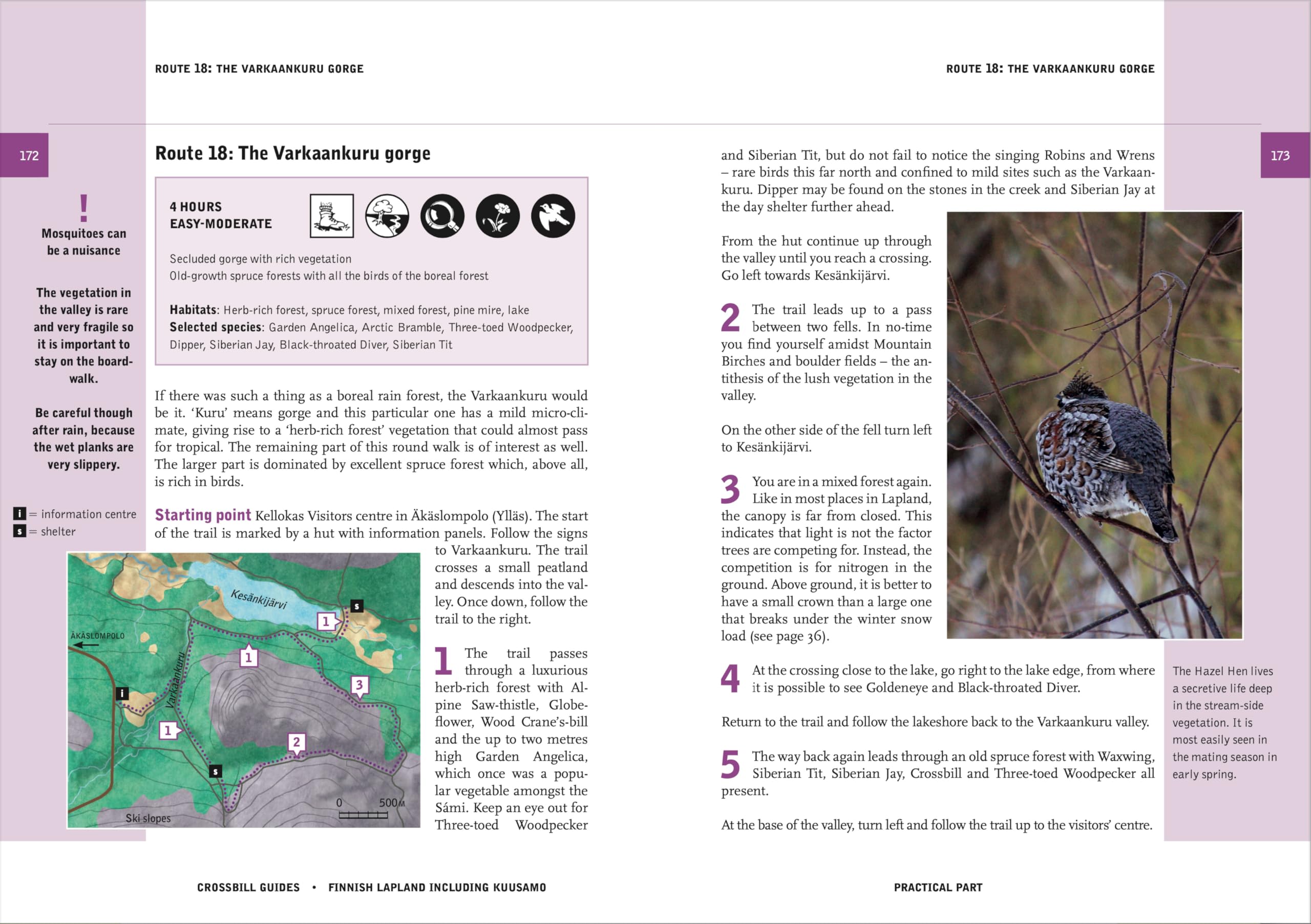 Finnish Lapland: including Kuusamo (Crossbill Guides)