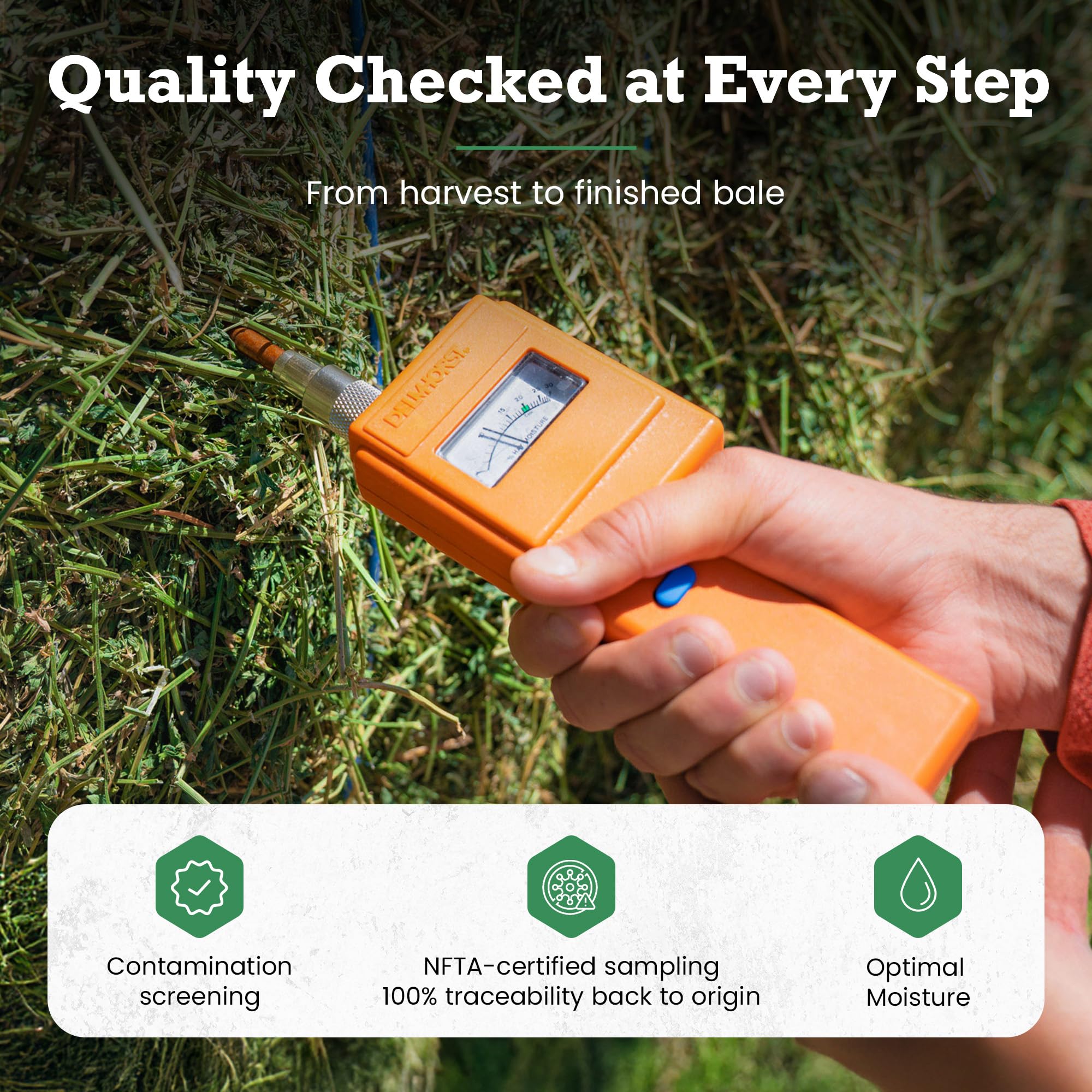 Border Valley Alfalfa Hay Bale in Bag, 40 lb - High Fiber Hay for Rabbits, Guinea Pigs, Chinchillas, Tortoises, Horses and Livestock - Protein-Rich Plant-Based Nutrition, Farm-to-Home Freshness - image 8