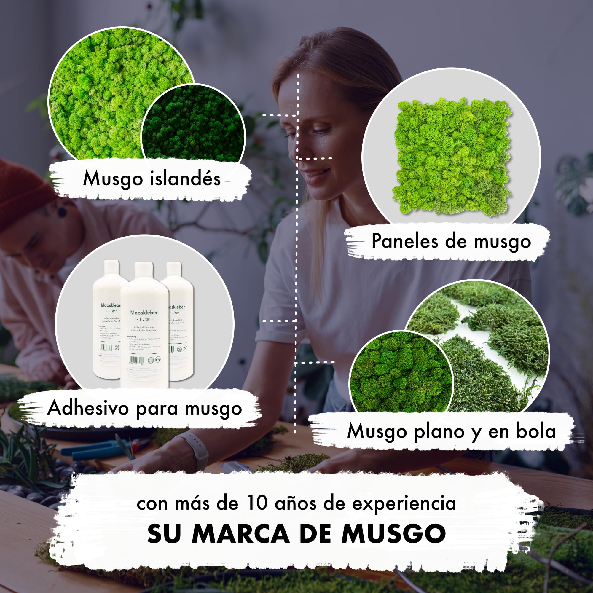 GJS Musgo islandés Natural conservado – auténtico Musgo Decorativo en 200g/500g/1kg/4kg para Cuadros, Manualidades, decoración y terrarios (Verde Claro, 4kg)