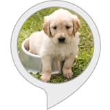 わんわんトーク