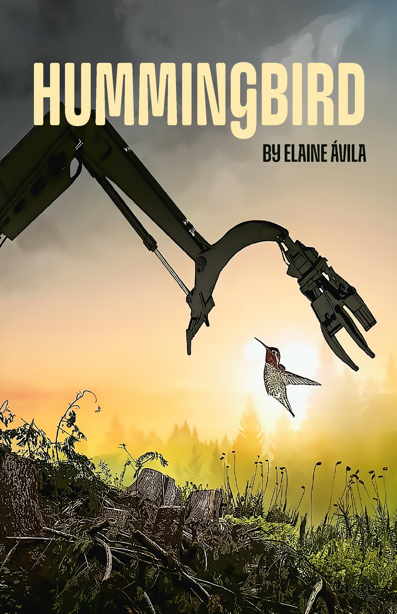 Hummingbird