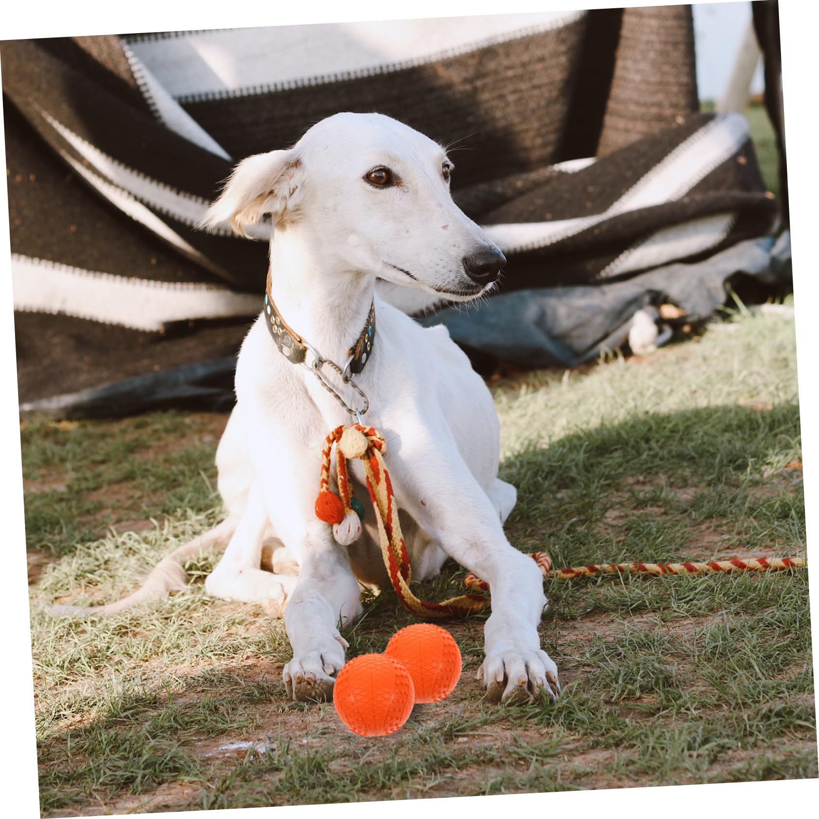 DECHOUS 4stücke Gummiball für Hund Welpenball zum Werfen und Apportieren Hundebälle als Kauspielzeug und Trainingsspielzeug Kleine Bälle für Hunde zum Spielen und Kaufen