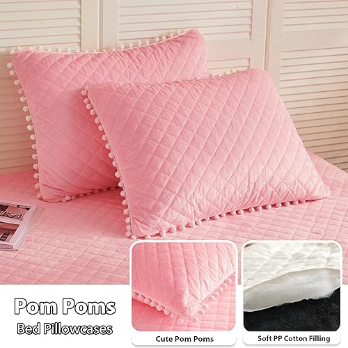 Miniatura 2 de LIFEREVO - Juego de funda de duvet lujosa de felpa (1 funda de duvet de piel sintética + 2 fundas de almohada decorativa con borde de pompones),