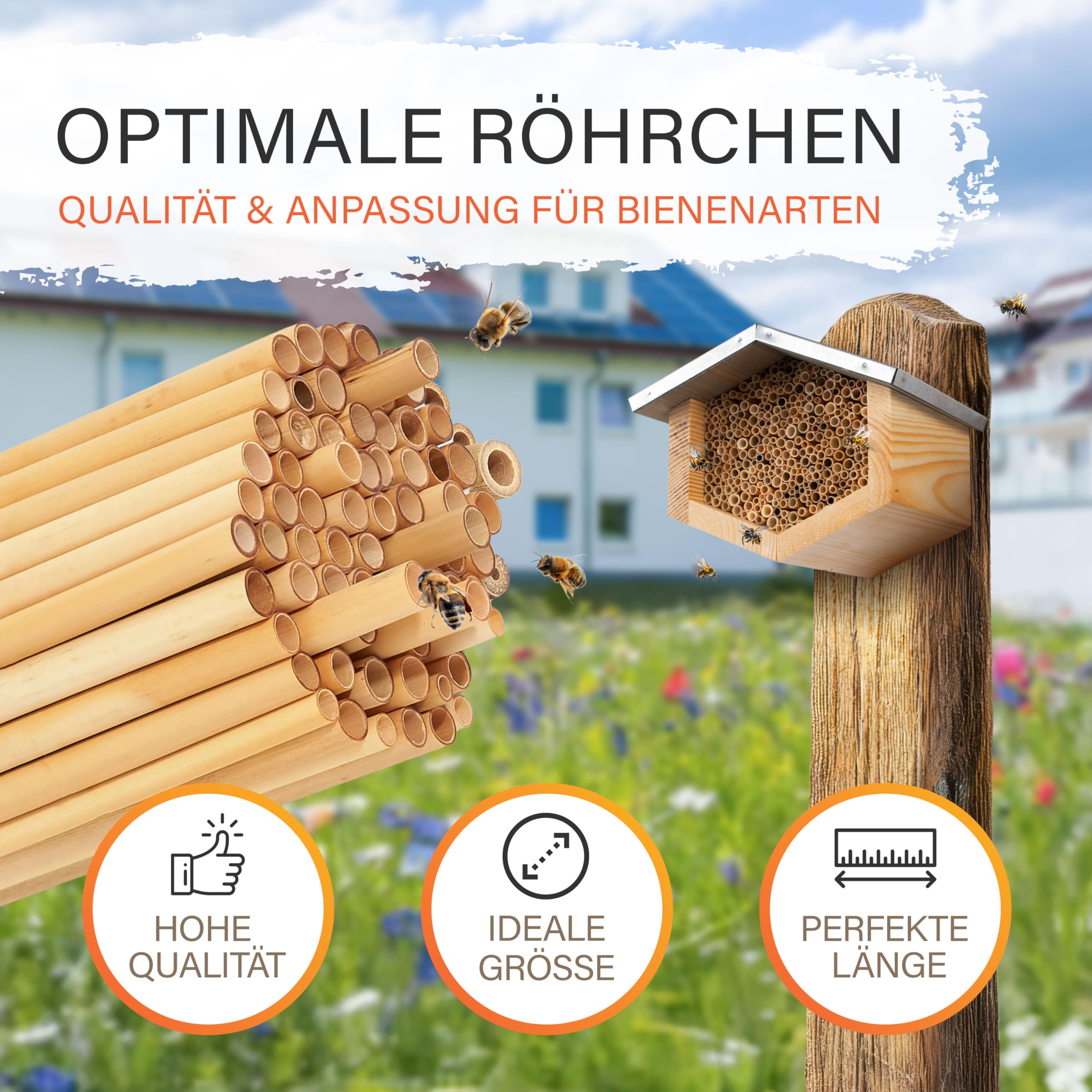 Beesi Wildbienenhotel mit Vogelschutz I Dach wetterfest I Nisthülsen aus Bambus I hochwertiges Insektenhotel I ohne Splitter mit Acrylgrlas Vogelschutz (Schilf - Für kleinere Bienen, Brown)