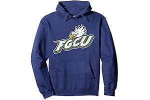 Embroidered FGCU Eagles Distressed Primary Pullover Hoodie