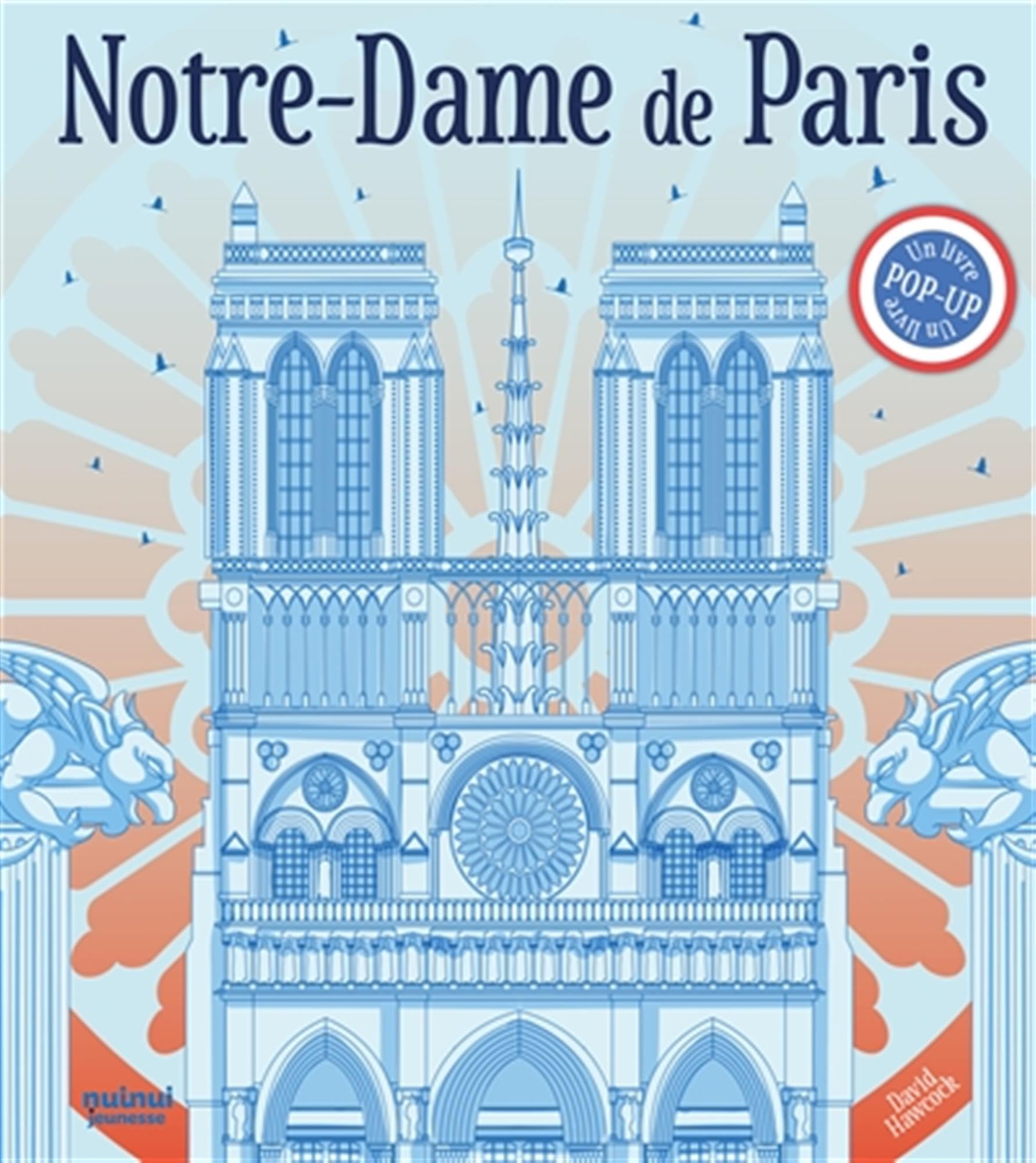 Notre-Dame de Paris NE cadeau idéal pour passionné de patrimoine