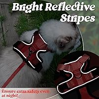 Vista 117 de rabbitgoo Arnés y correa para caminar, a prueba de escapes, chaleco suave y ajustable para gatos, fácil de controlar, transpirable, tiras