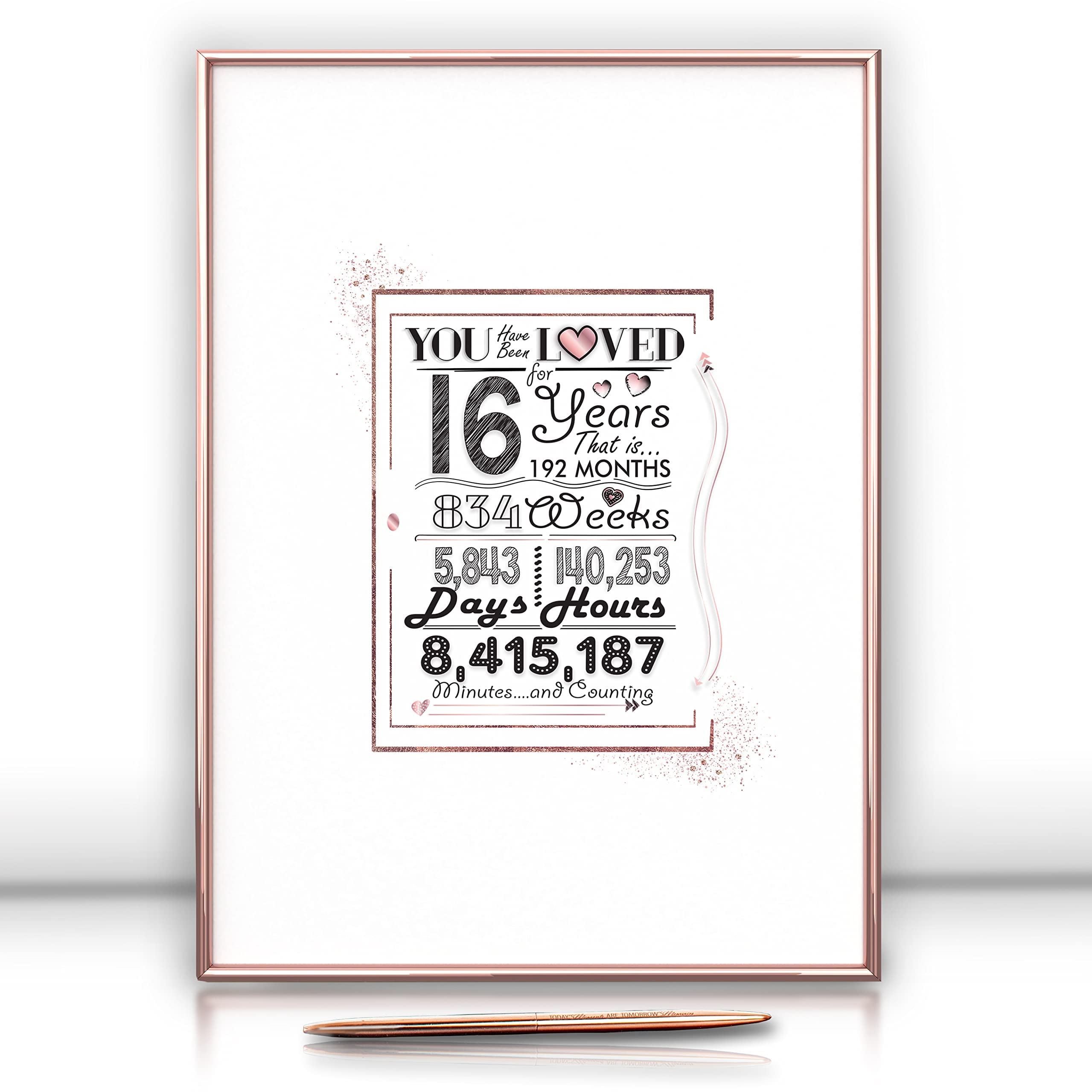 Framed Rose Gold Sweet 16 Birthday Decorations for Girl 12