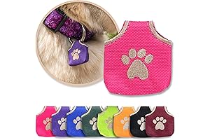 Customizable & Quiet Dog Tag Holder for Dog and Cat Collars with Secure Locking Clasp