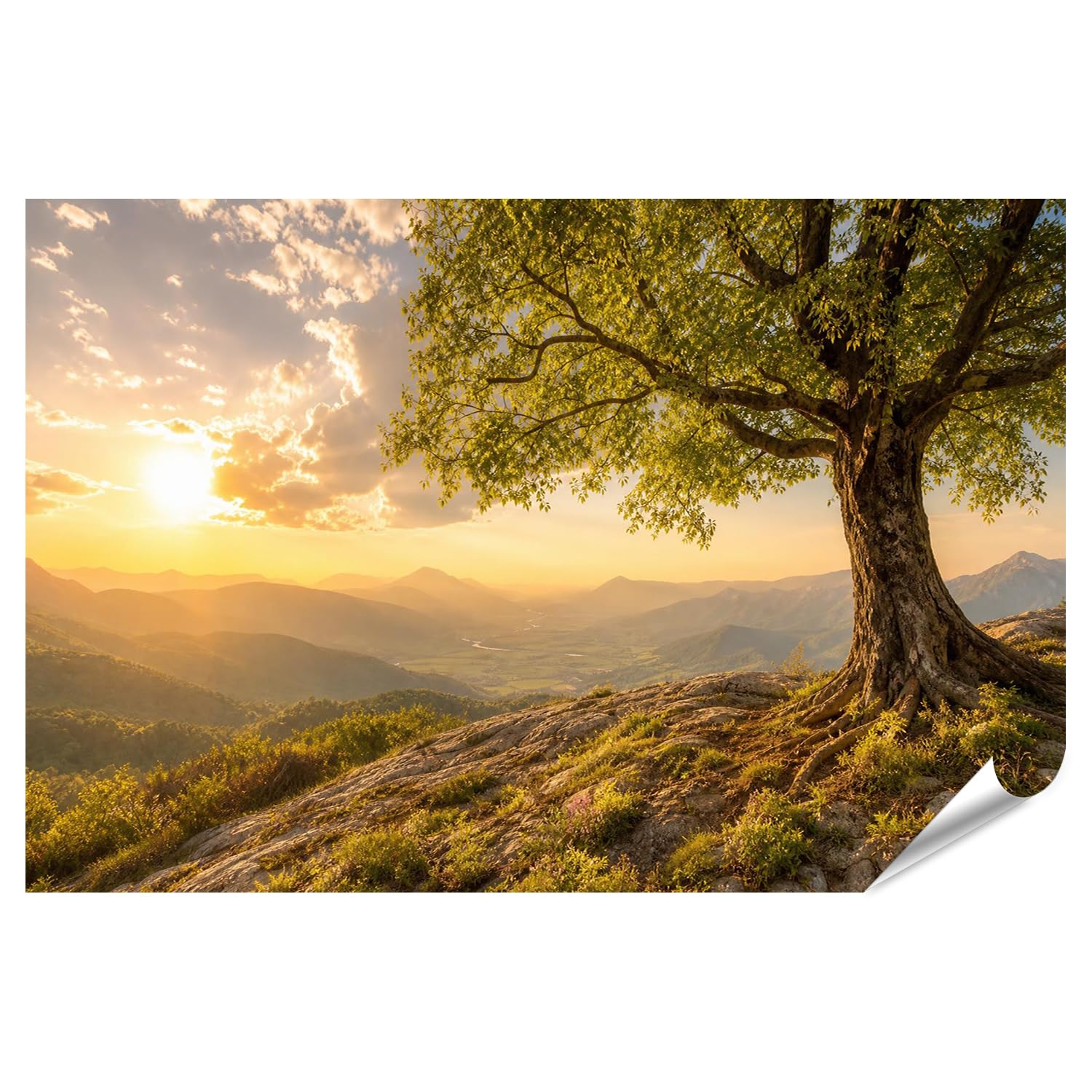 islandburner Póster de alta calidad, diseño de árbol majestuoso en la luz de la tarde, para salón o para amantes de la naturaleza, gran formato