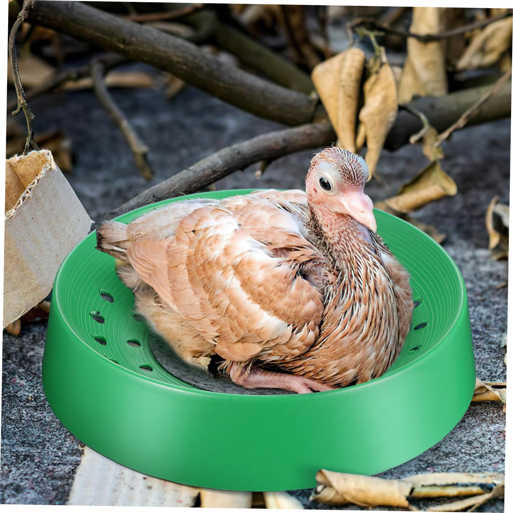 Mikikit 10 Pezzi Ciotole Nidificanti per Piccioni e Uccelli Basins Traspiranti e Resistenti Lavabili e Facili da Asciugare per Allevamento e Riposo o Fattoria