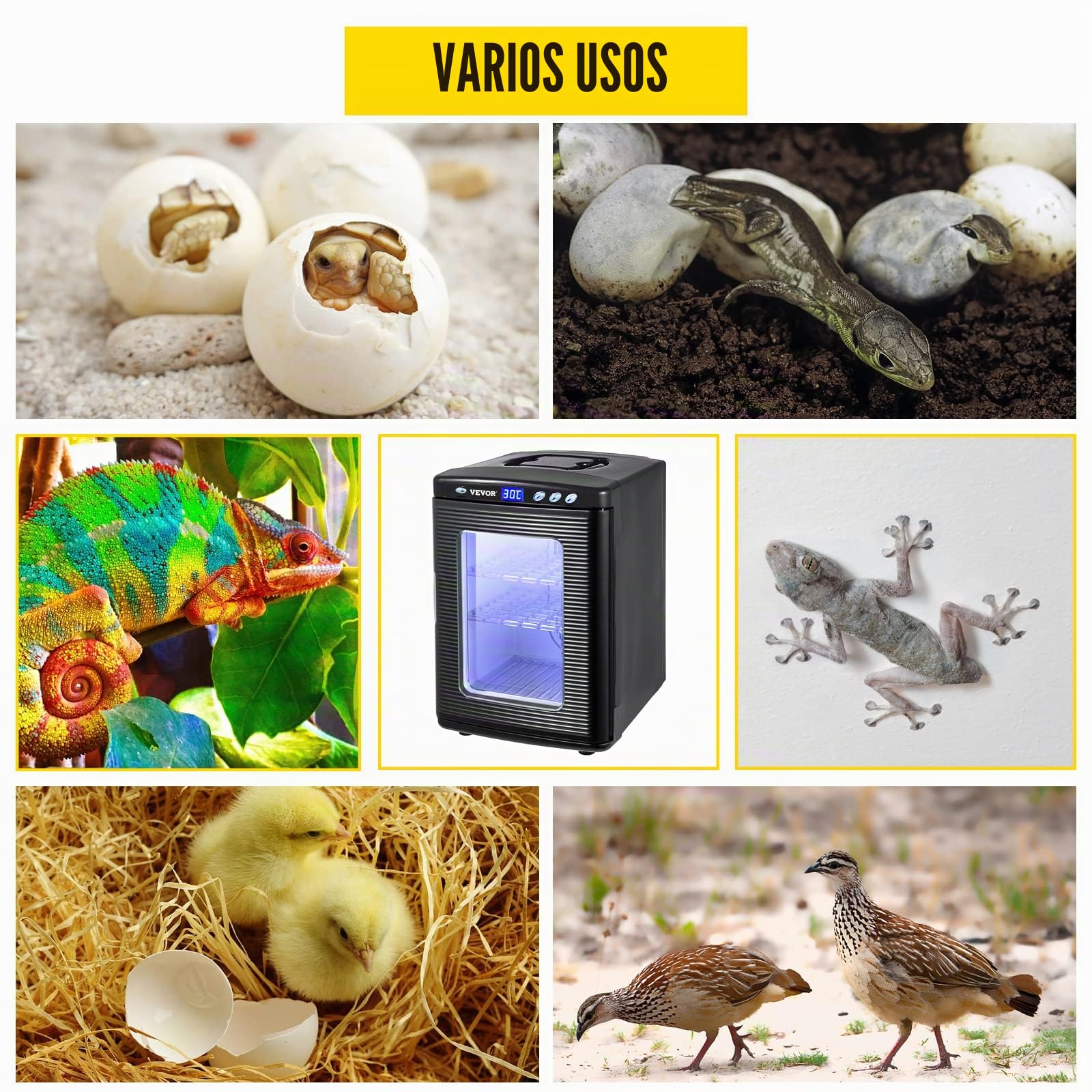 VEVOR Incubadora 5°-60°C (36-140°F), 25L Incubadoras automáticas para incubar incubadora con temperatura constante mejor para Reptiles, anfibios
