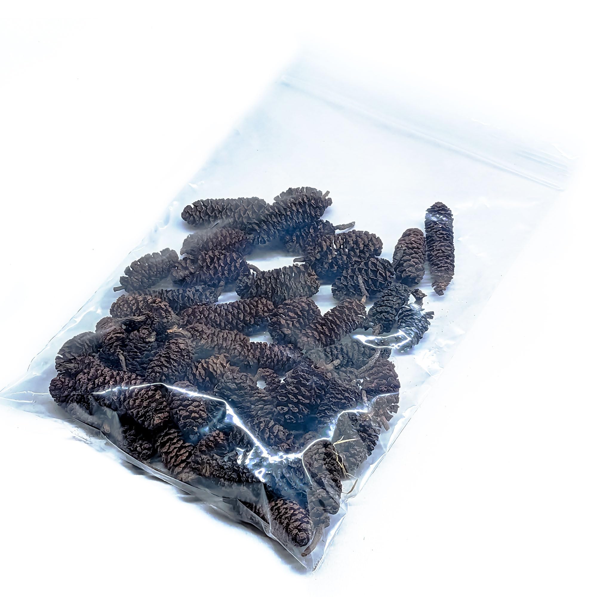 Alder Cones for Shrimp Snails & Aquariums - Natural Blackwater Tannins for Shrimp Snails & Fish (30g), Brown - Image 4