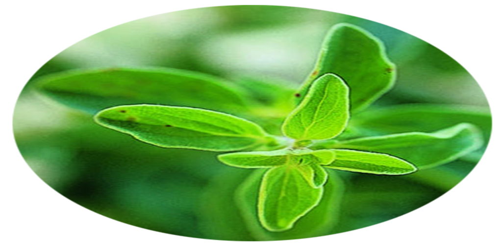 Benefits of for Android