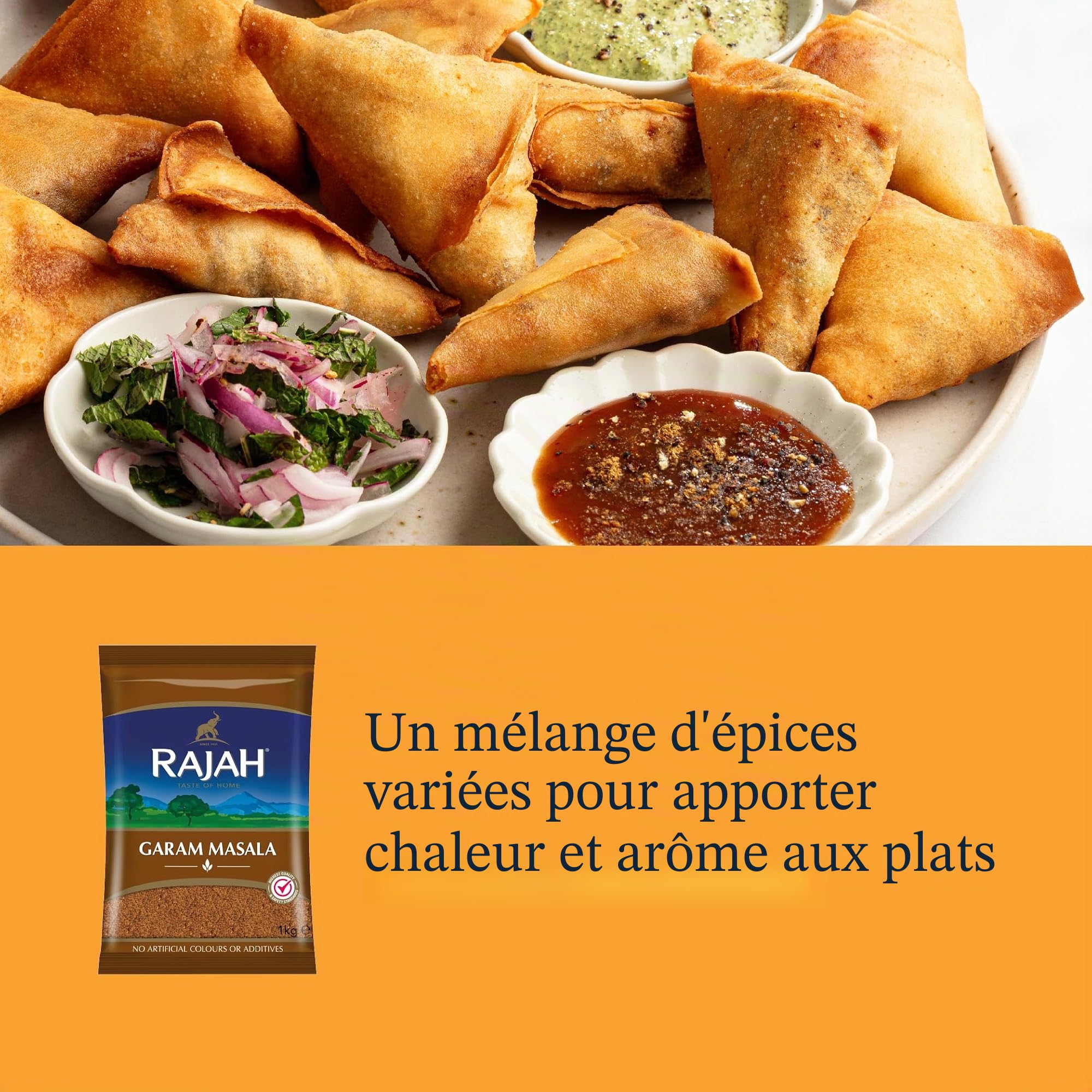 Rajah Spices Garam Masala Mélange d'épices moulues 1 kg