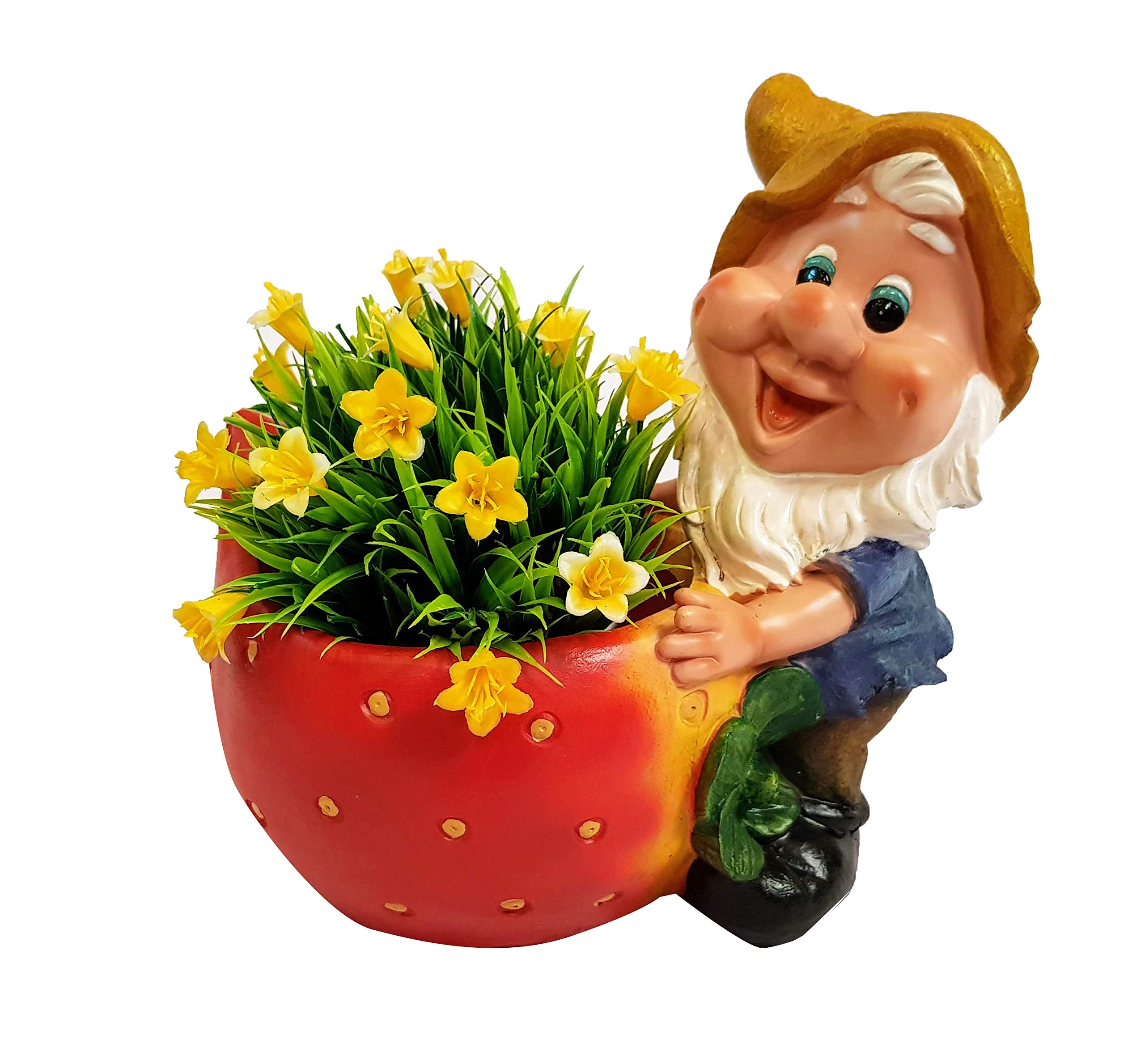 Wonderland gnome/Gnomes/Dwarf with Strawberry Planter (for Real Plants) Resin planters, Planter for Home, Garden and Balcony Decor (B07KGDTRRC) Amazon Price History, Amazon Price Tracker