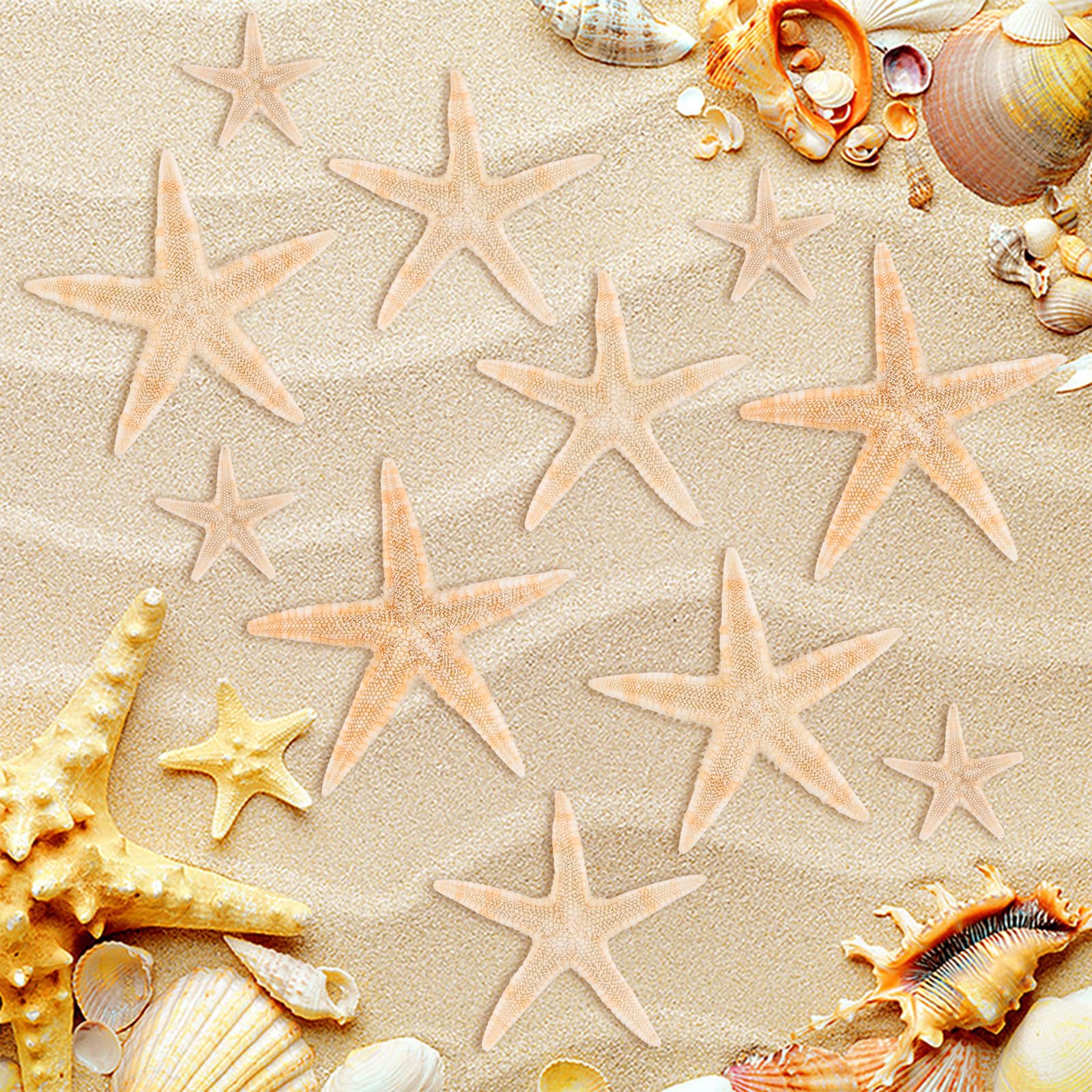 20 PCS Estrellas de Mar Decorativas, Pequeñas y Mini, para Manualidades, Bodas, Playa, Fiestas Temáticas y Decoración del Hogar