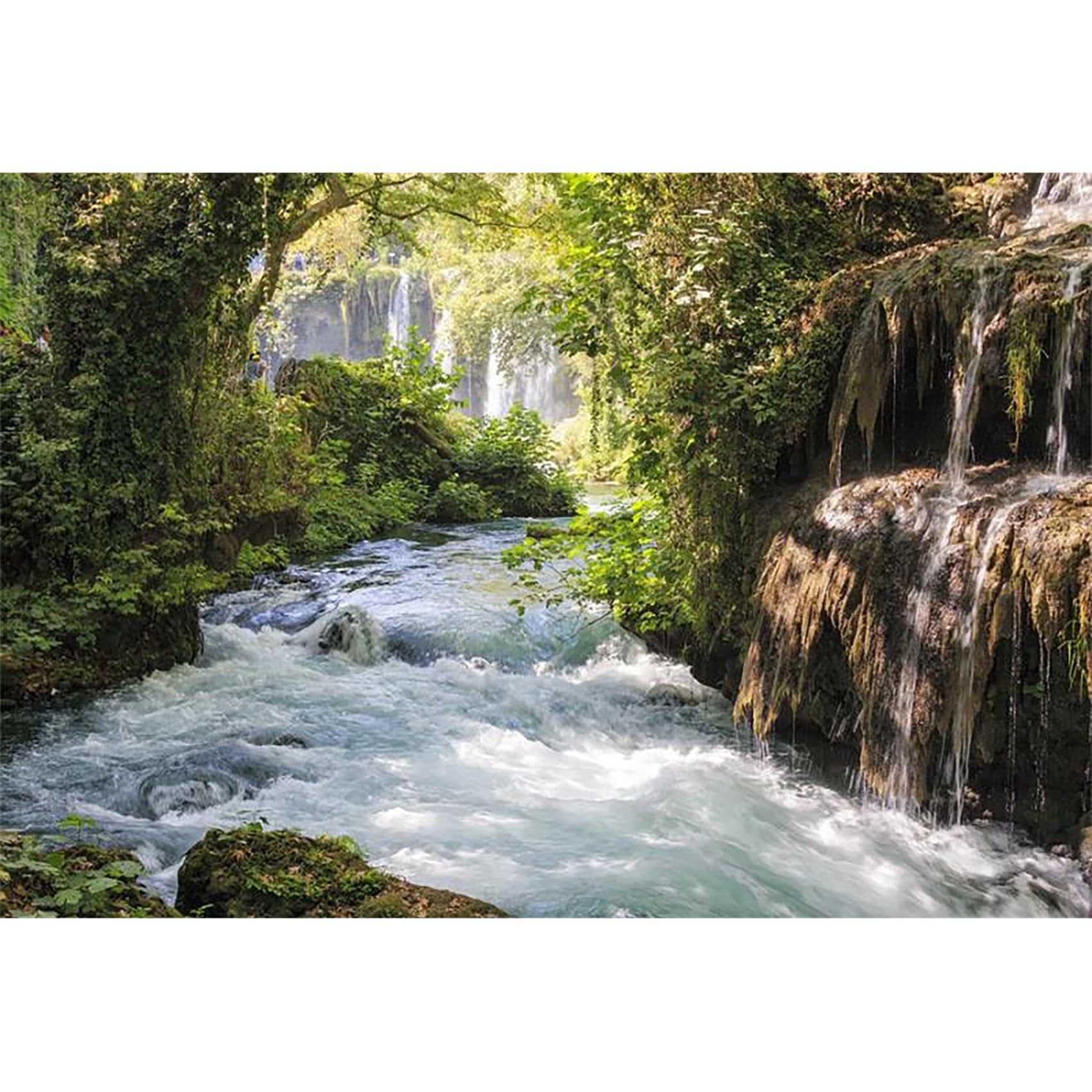 Baocicco 12x10ft Vinyl Green Forest Backdrops for Photography Background Mountain and Water Landscape Beautiful Waterfall and River Ancient Tree
