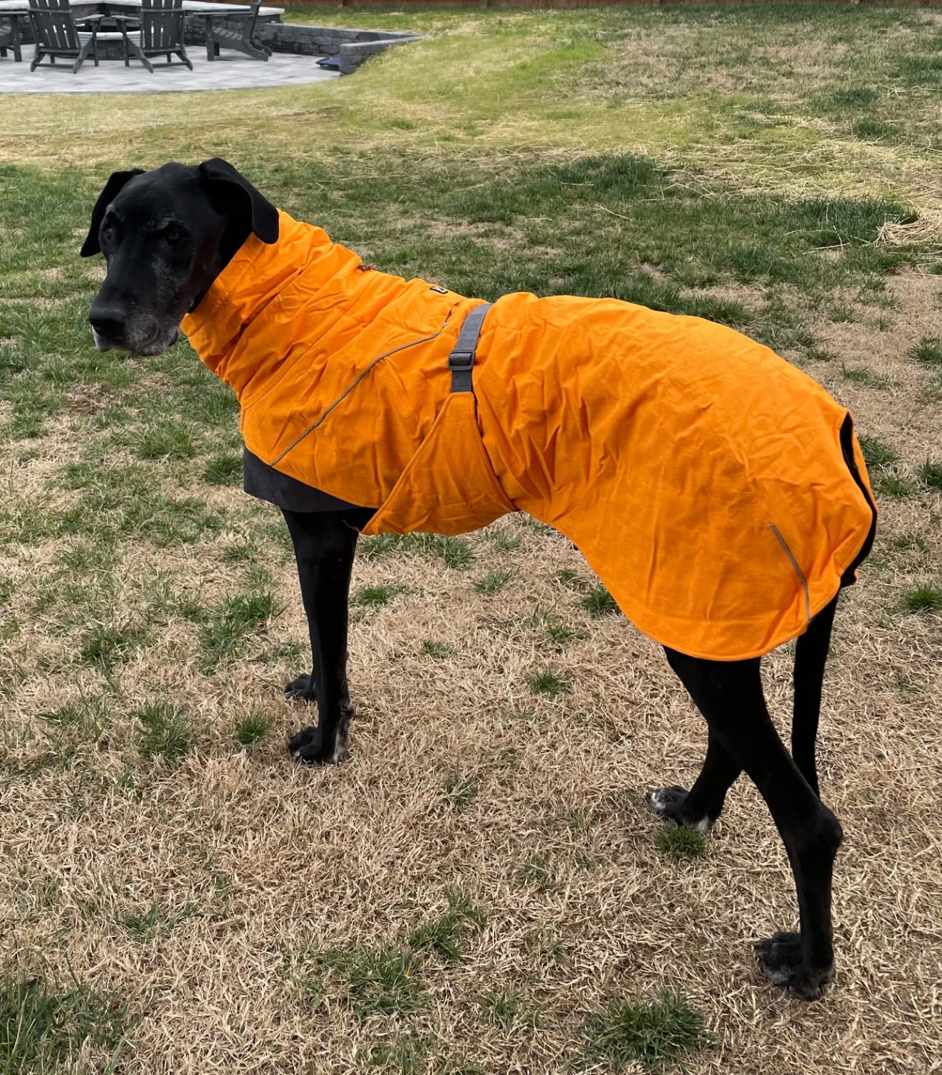 15/mo Finance Hurtta Expedition Parka, Winter Dog Coat, Beetroot, 18