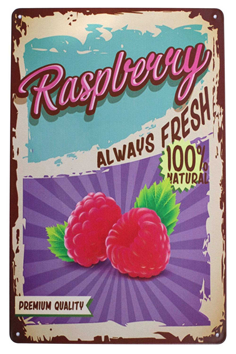 Smartaian Raspberry Fresh Fruit Vintage Tin Metal Sign Home Wall Plaque Decor (Raspberry)