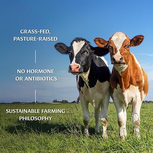 Miniatura 6 de Banyan Botanicals Ghee de cúrcuma  Ghee orgánico cultivado alimentado con hierba (mantequilla clarificada) con cúrcuma y jengibre  Alternativa al