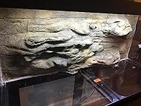 Review Image by Mikegezz Mikegezz