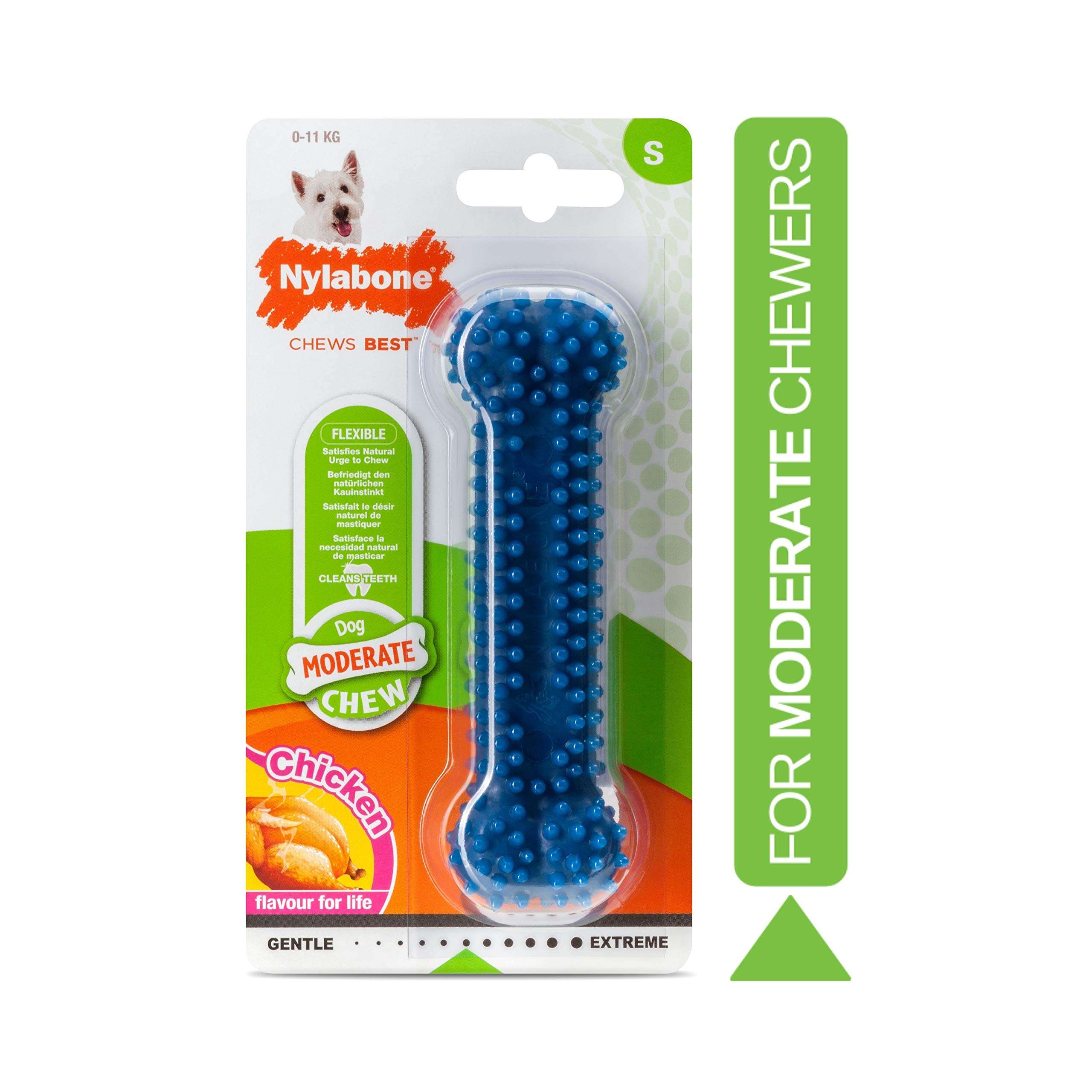 Nylabone Flexi Chew Moderate Textured Dental Chew Toy for Dogs, Chicken Flavor, Small/Regular (1 Count)