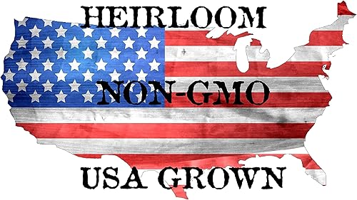 Miniatura 6 de Más de 1000 semillas de lechuga Tom Thumb Heirloom, cultivadas en Estados Unidos sin OMG, cultivadas en Estados Unidos, lechuga en miniatura de 5