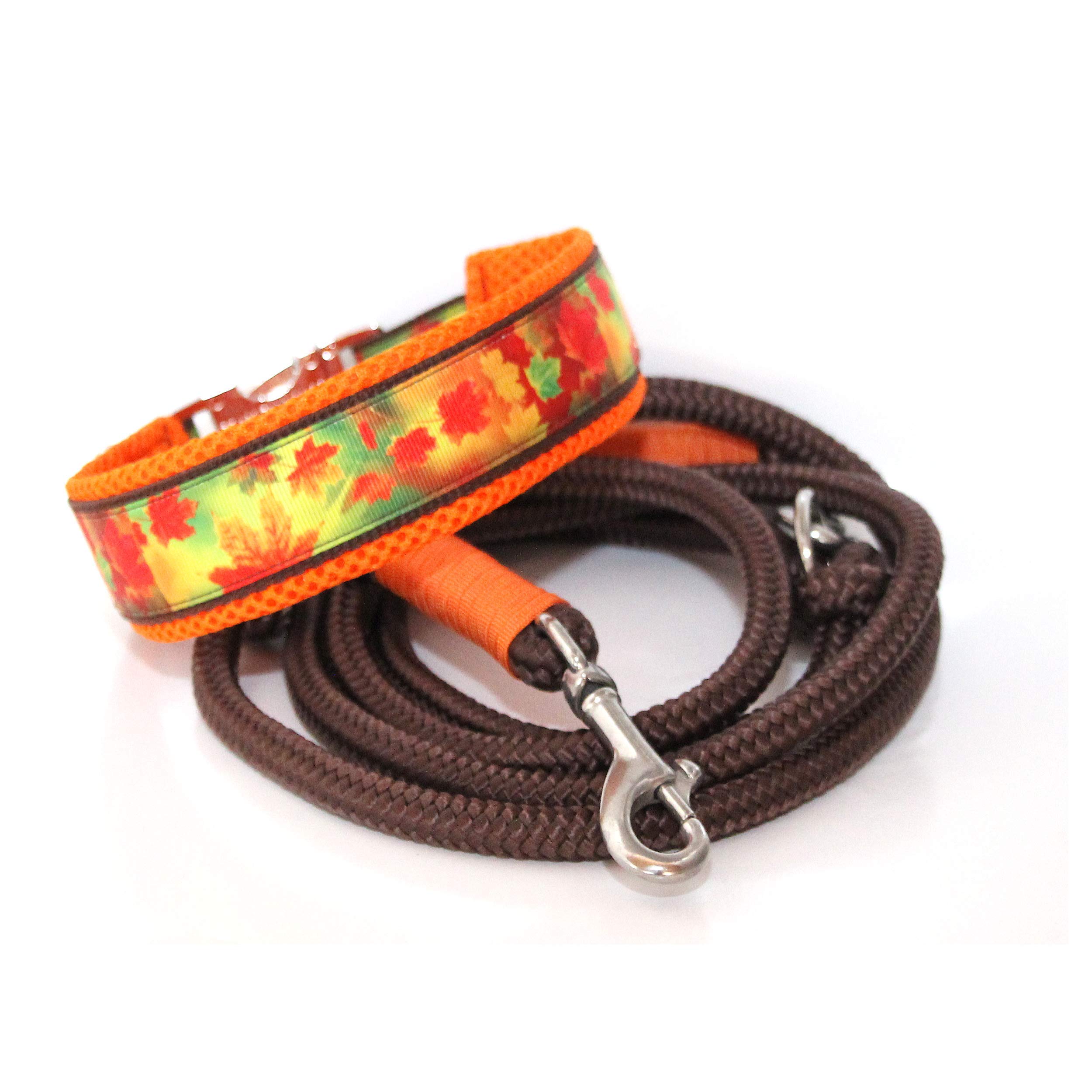Set: Halsband + Leine, Set für Hunde, Tauleine und Hundehalsband - Herbstlaub