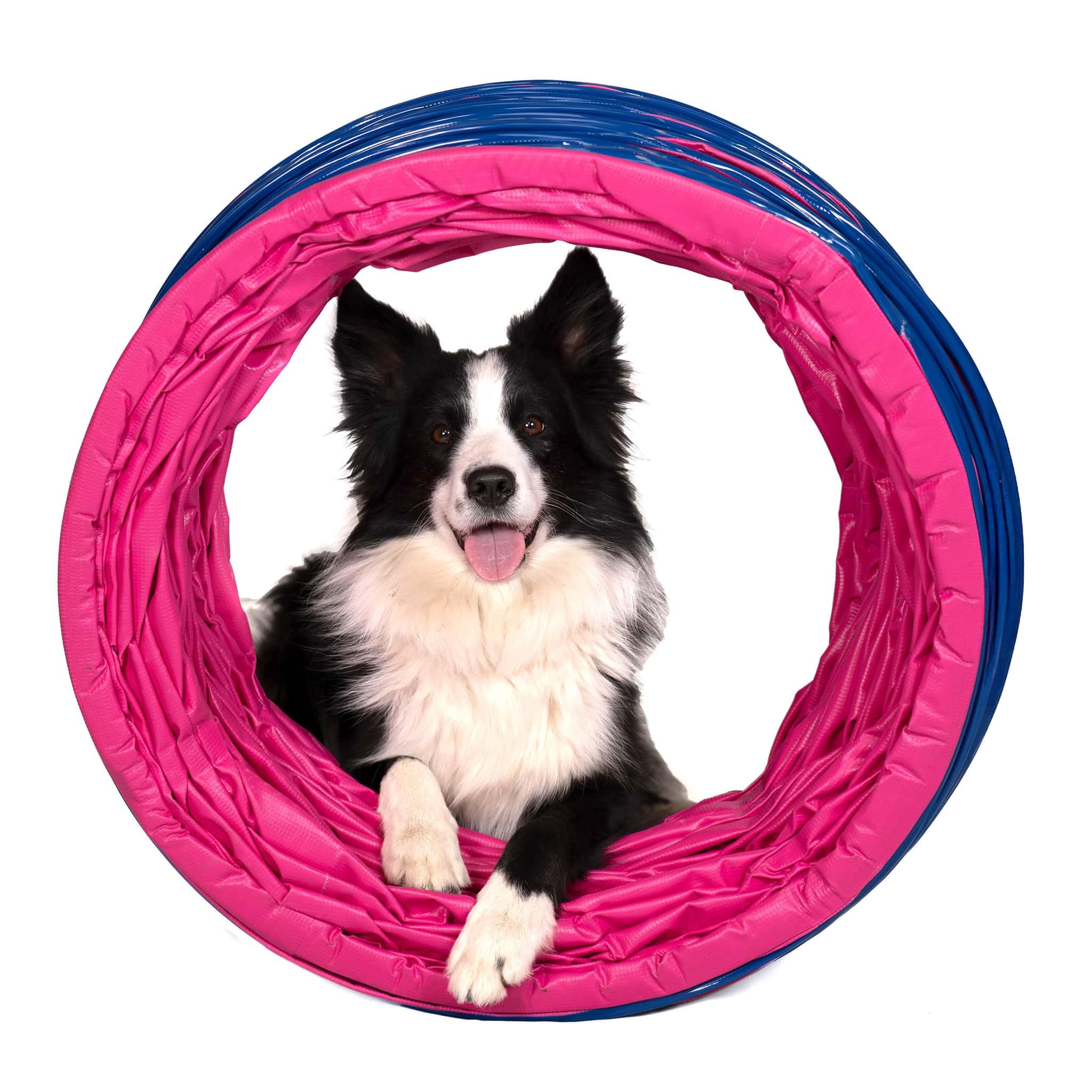 Callieway® Dog Agility tunel profesjonalny / psy tunel 5 m długości / 60 cm Ø Agility urządzenie (5 m, fuksja)