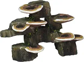 Penn-Plax Deco-réplicas tronco de árvore com prateleira cogumelos decoração de aquário – seguro para aquários de água doce e salgada – pequeno