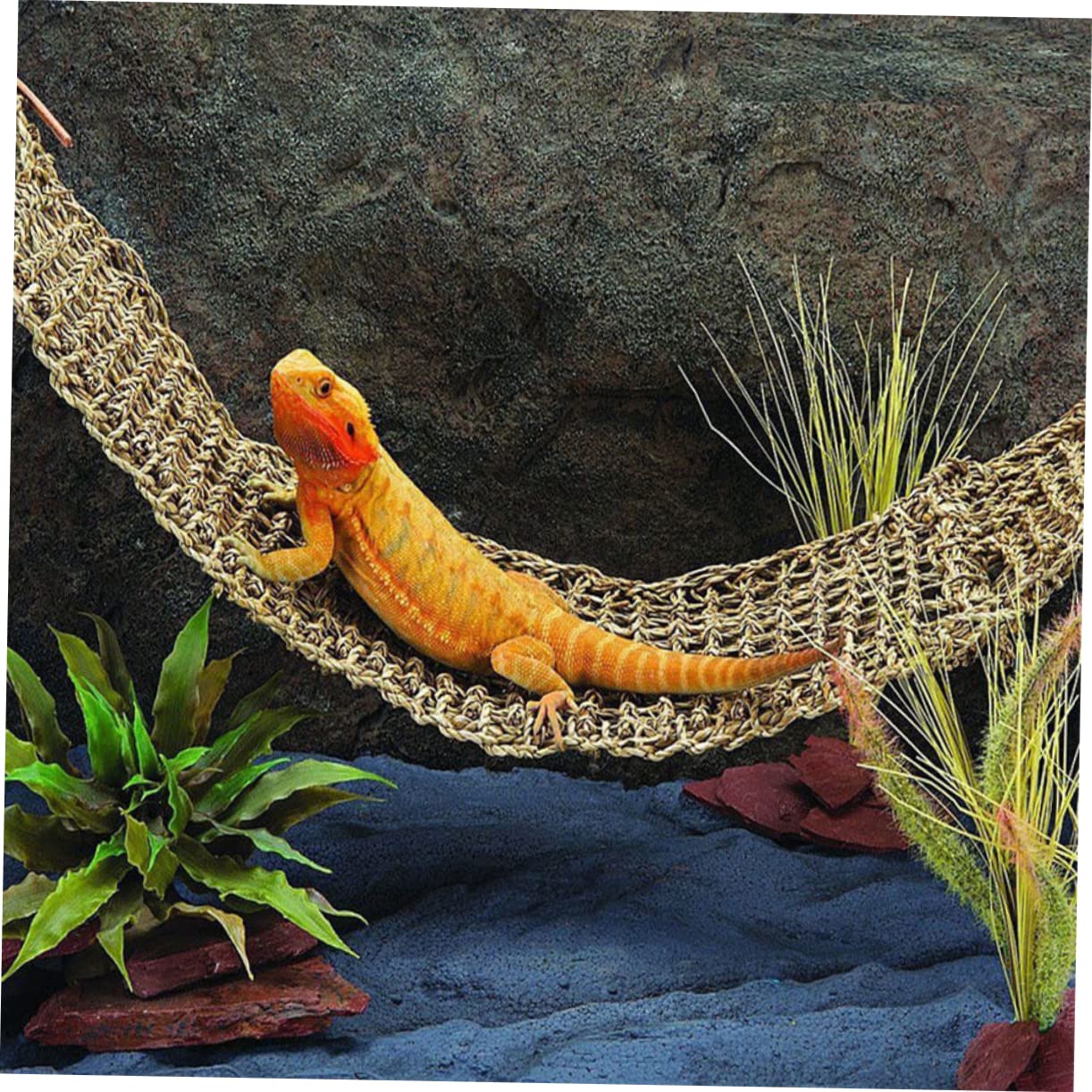 GANAZONO 2piezas Hamacas De Césped para Reptiles Accesorios para Tanques De Dragón Barbudo Colgantes para Iguanas y Geckos Soporte Doble Sin Ventosas