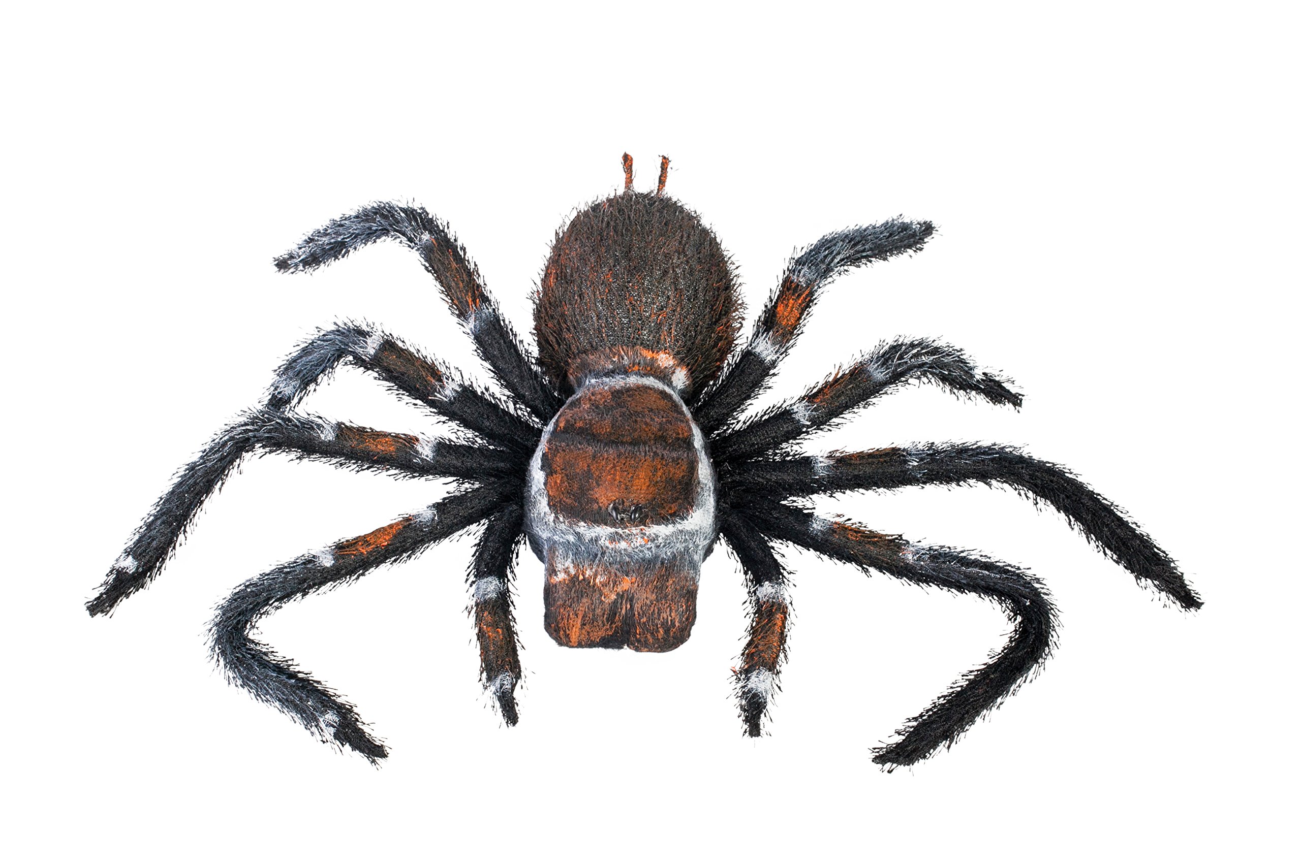 MorbidEnterprises Giant Spider Tarantula