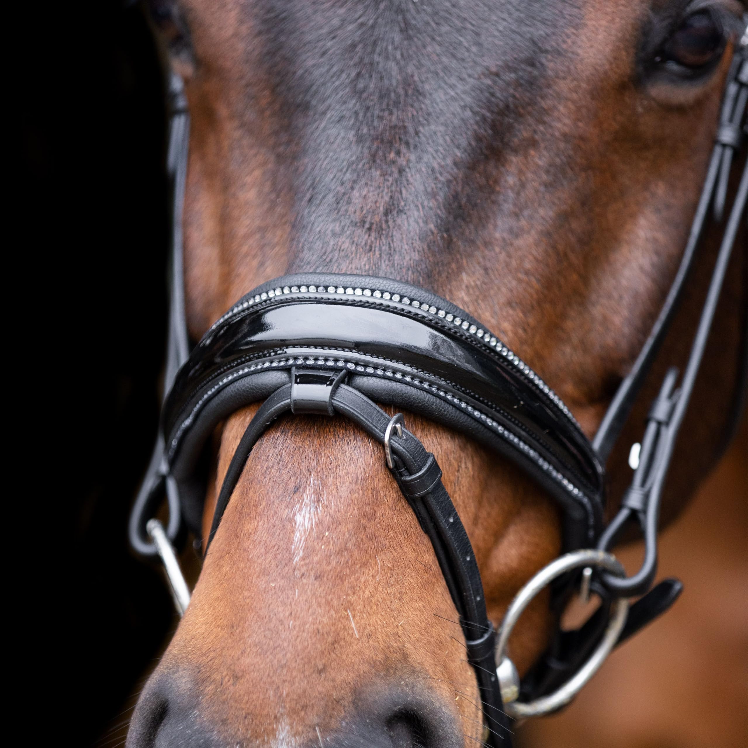 Imperial Riding IRH Olympia Trense ohne Zügel, anatomisches Genickstück, Kalbslederpolsterung, Stirn- & Nasenriemen mit Strass, hochwertiges Büffelleder, Edelstahlbeschläge, Schwarz-Silber, Pony