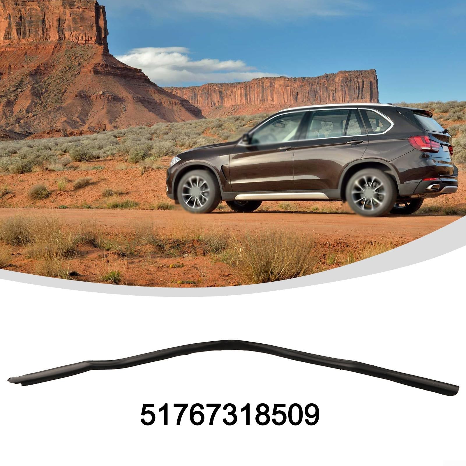 Amazon.com: Left Rear Door Front Seal 51767318509 for BMW X5 2014