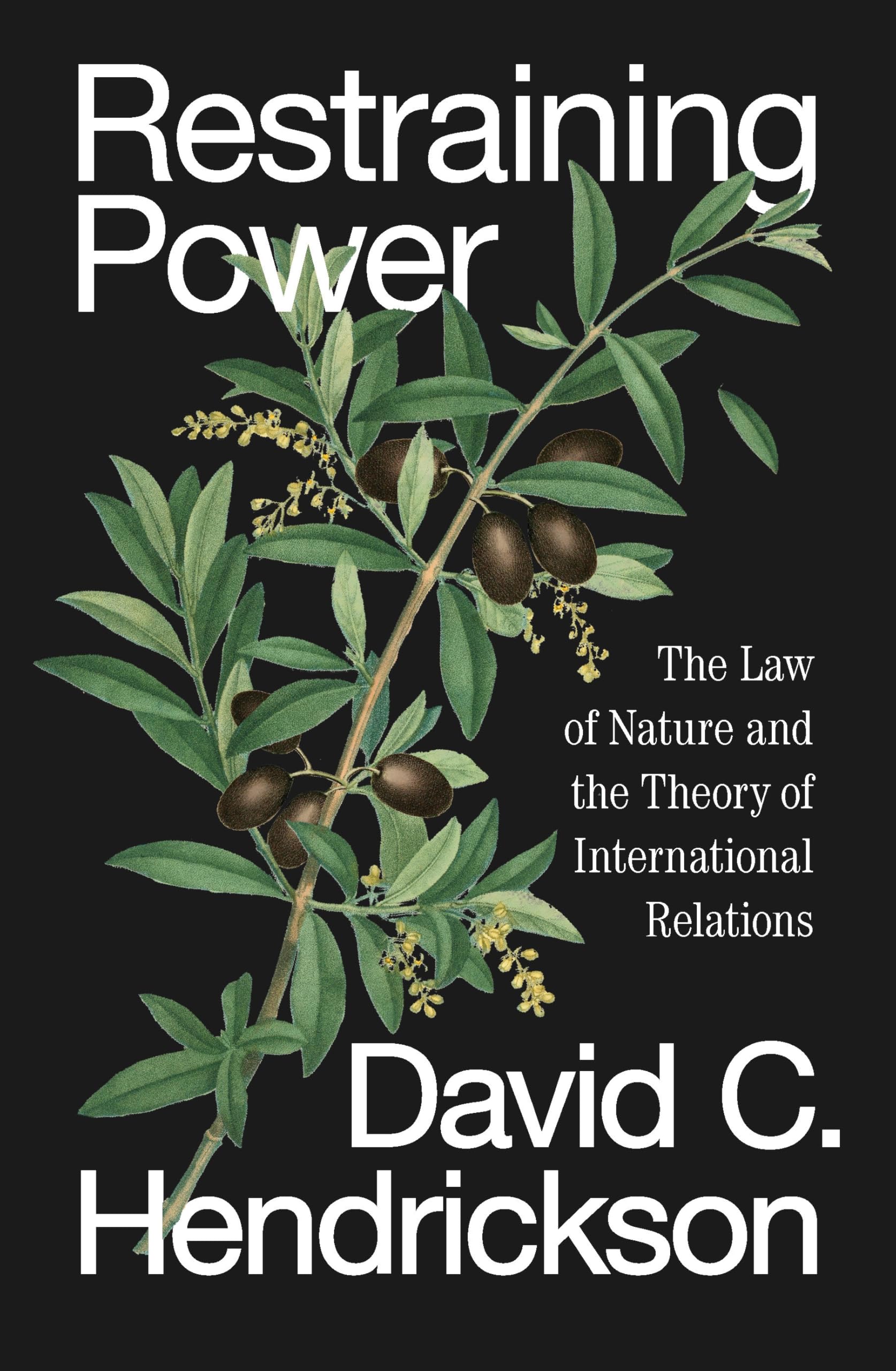 Restraining Power: The Law of Nature and the Theory of International Relations