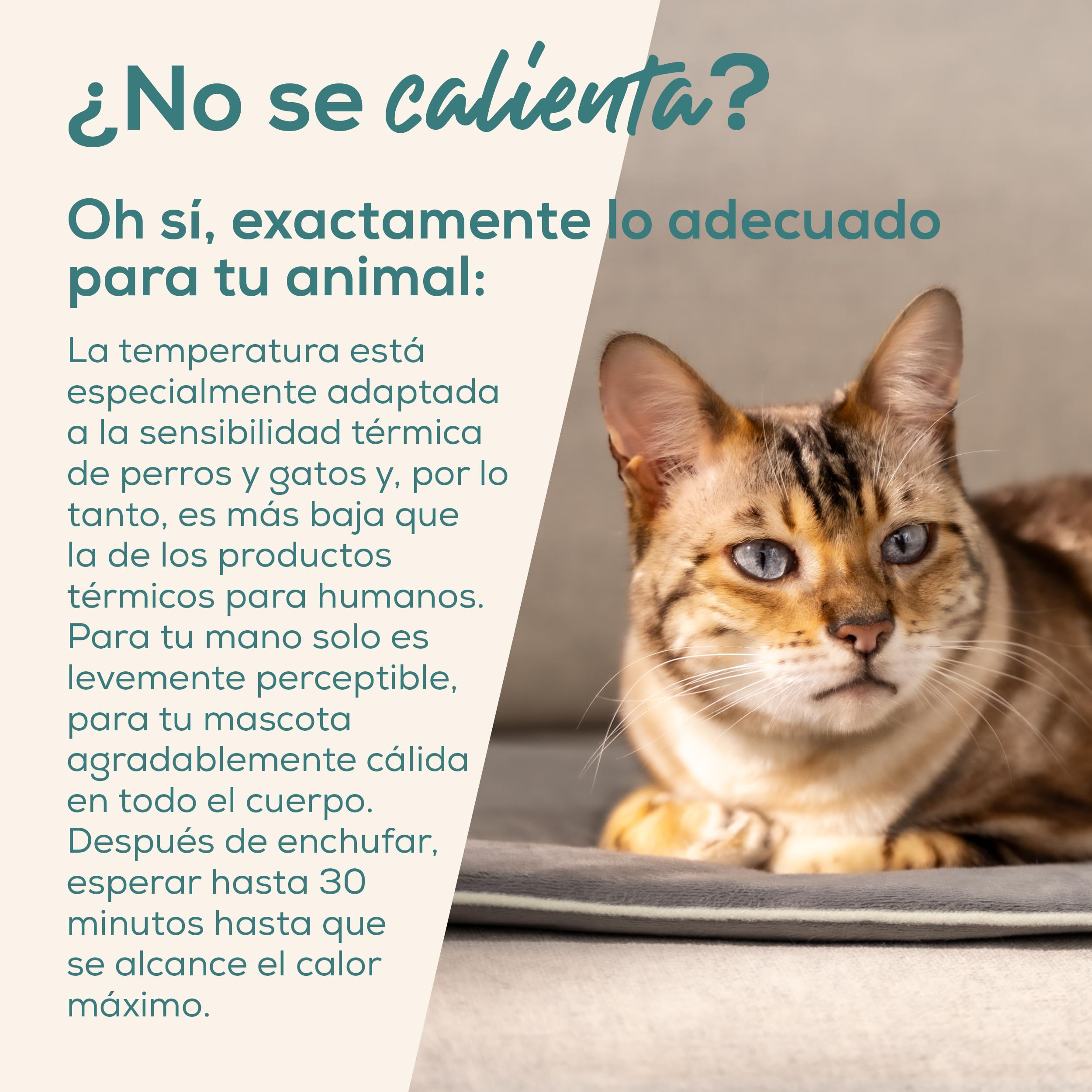 Beurer Love Your Pet Colchoneta térmica Talla S «Lilli» para Perros y Gatos, con Temporizador, Manta pequeña para Perros, Lavable a 30 °C, Resistente a los arañazos y el Agua, 41 × 34 cm