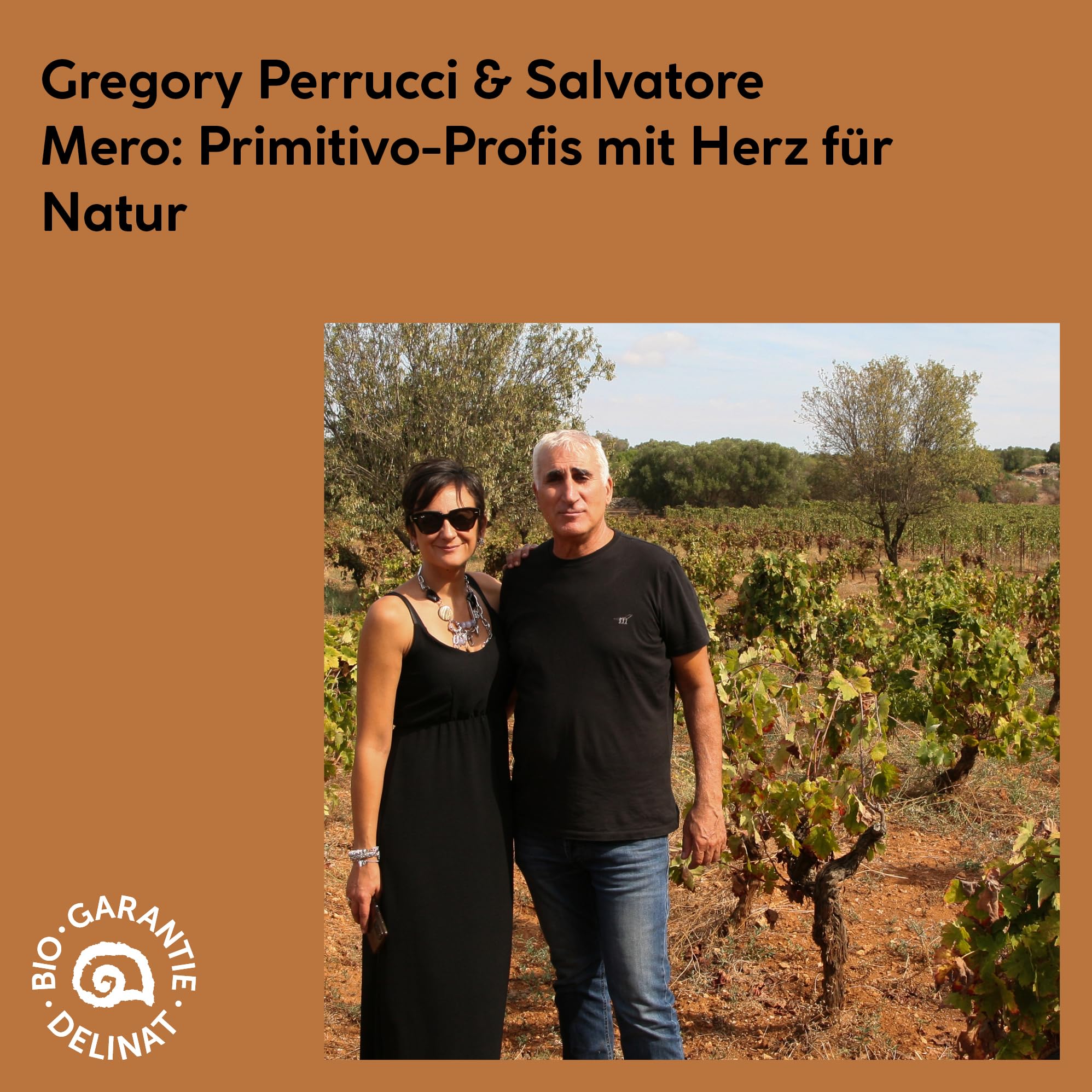 DELINAT Primitivo Puglia 2022 – Italienischer Bio-Rotwein halbtrocken | Sortenreiner Primitivo aus Apulien, fruchtig & säurearm - Veganer Premiumwein 6 x 0,75l