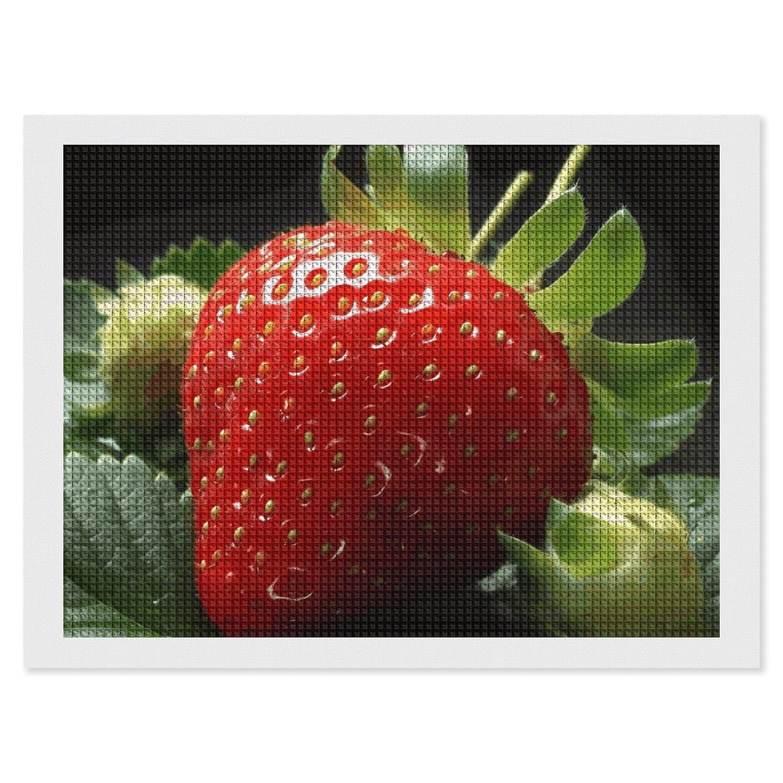 NONHAI Diamond Painting Kits for Adults - DIY Diamond Art Kits for Beginners - Full 5D Paint Drill Diamond Dots Paintings- Fruit Strawberry Diamonds Pictures Gem Art and Craft Wall Decor 12"x16"