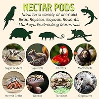 Vista 3 de Cápsulas de néctar (paquete de 4 variedades) – Golosinas de frutas fortificadas con calcio – Planeadores de azúcar, titíes, ardillas, loros