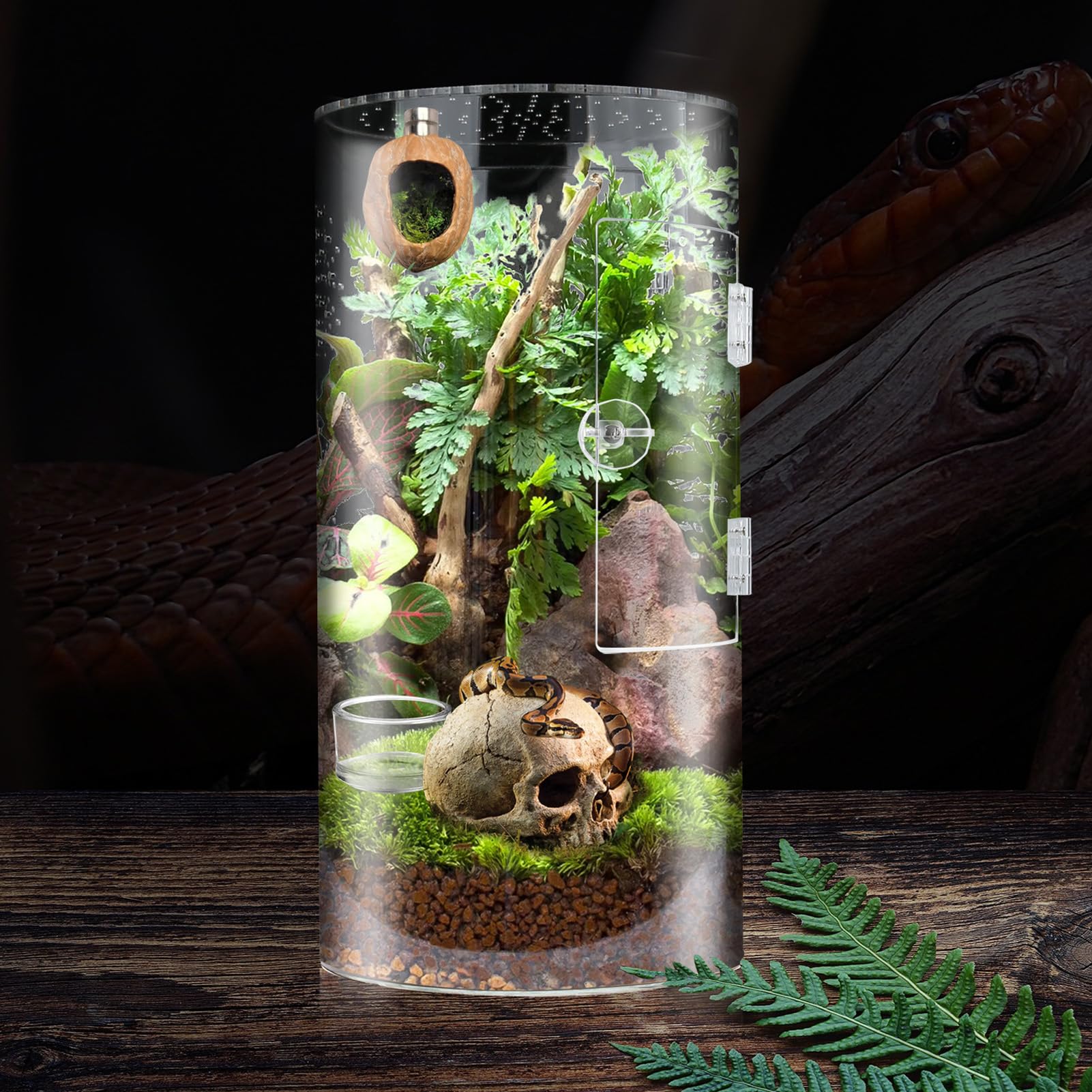 Otwierana z Przodu Obudowa dla Pająków Skakających, Terrarium Akrylowe dla Ptaszników z widocznością 360° i Bezpiecznym Zatrzaskiem 6x6x12 Cali, Duże Terrarium Akrylowe Akcesoria