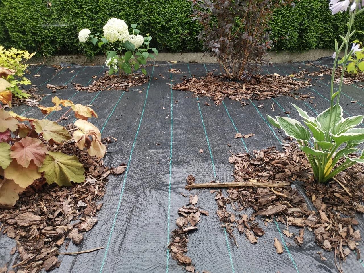 eGarden Agrotkanina - Włóknina przeciw chwastom, folia ogrodowa 90 g/m² – przepuszczająca wodę, odporna na promieniowanie UV tkanina do skutecznego zwalczania chwastów (1,6 x 100 M - 160m2)