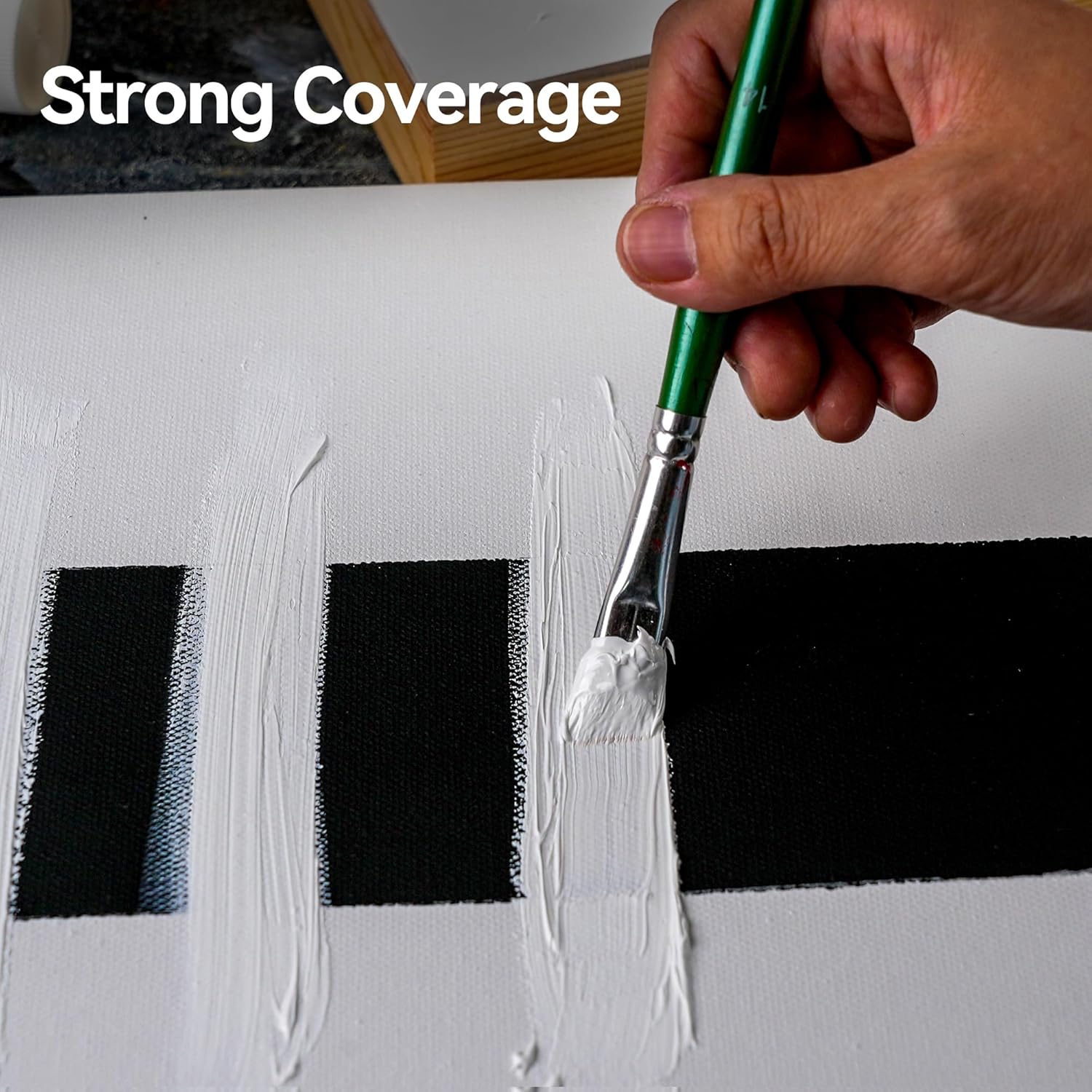 PHOENIX Studio Oil Paint Set - 20 Classic Colors x 50ml / 1.69 Fl oz. - Professional Oil Based Art Paints for Painting