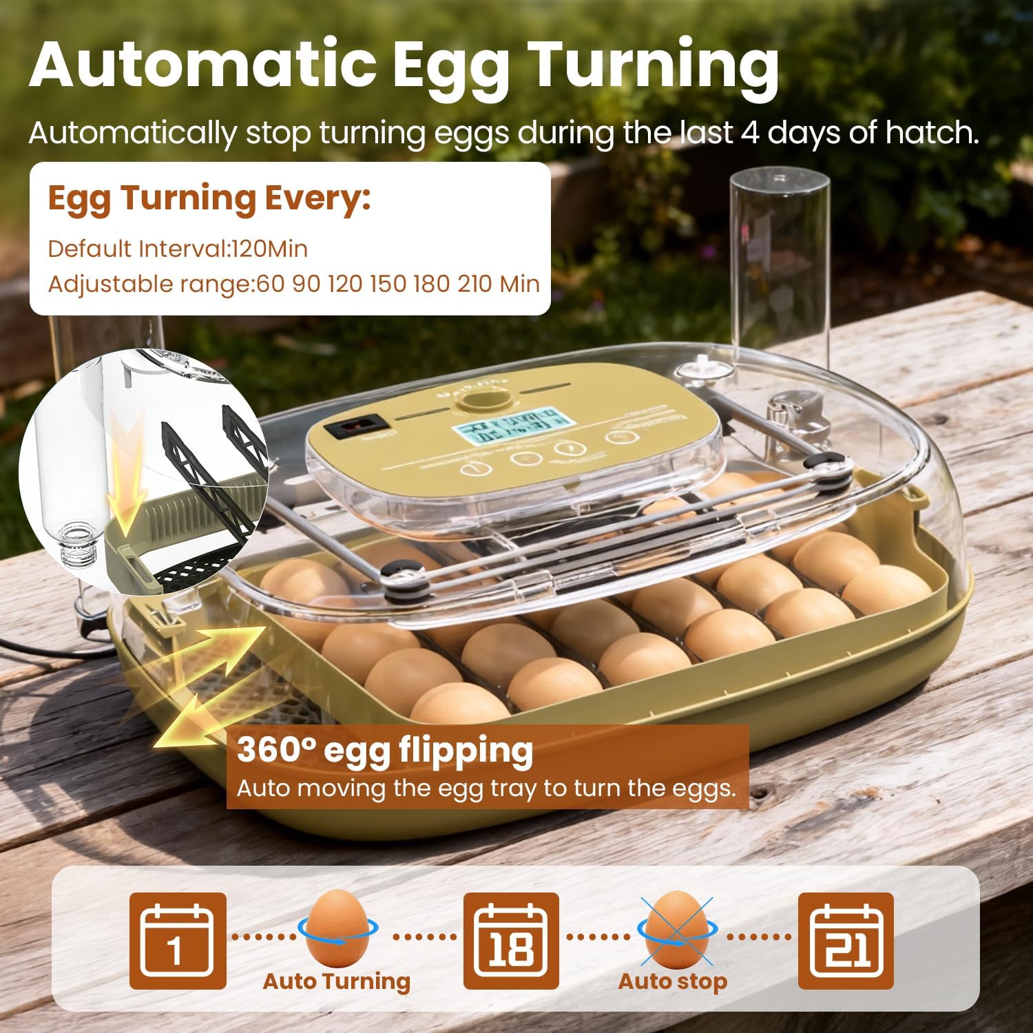 Incubadora para incubar 24 huevos, capacidad de huevos, volteador automático de huevos y nuevo sistema de control de humedad de precisión automático, visión clara de 360° para pollo, pato y codorniz