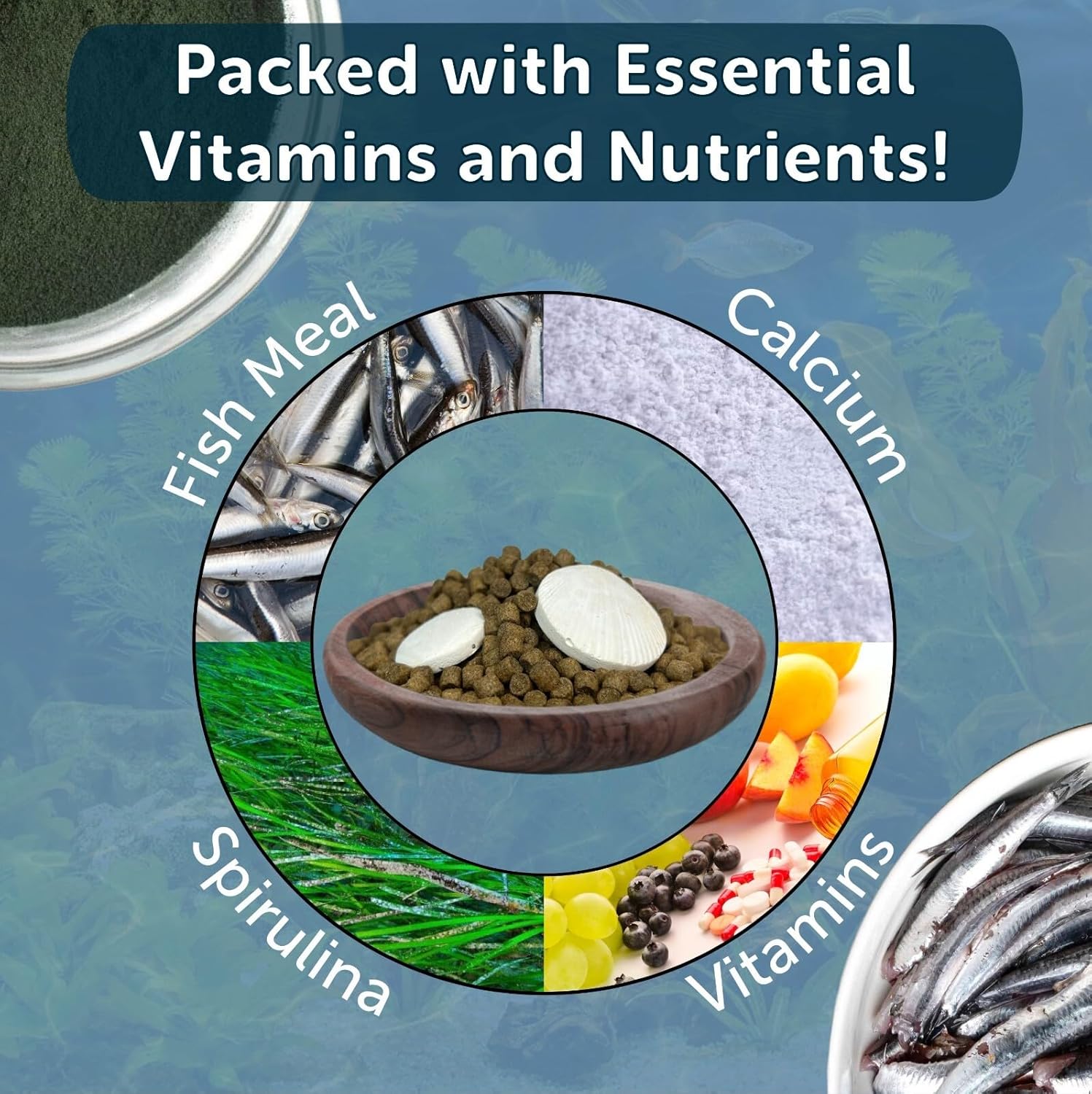 Aquatic Foods Inc. Calcium Blocks Included in Snail & Shrimp, 4mm-3/16 Sinking 40% Protein Nuggets for Snails, Shrimp, Crabs, All Bottom Tropical Fish...4-lbs 12oz Jar