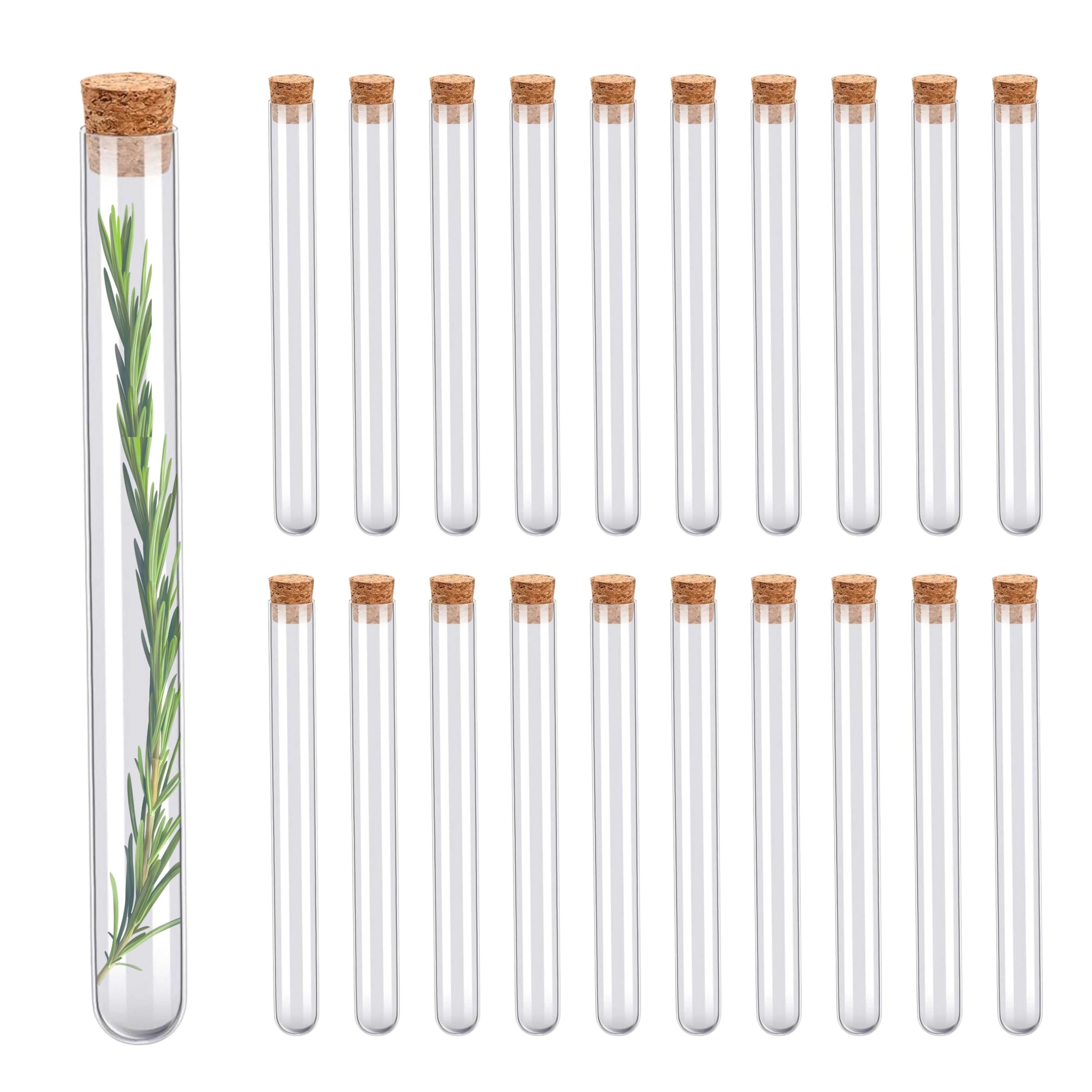 Reagenzgläser Für Blumen 20 X Reagenzglas Aus Glas, 18 Ml, Mit  Korkverschluss | Behälter Reagenzgläser Mit Korken, image size:2560x2560