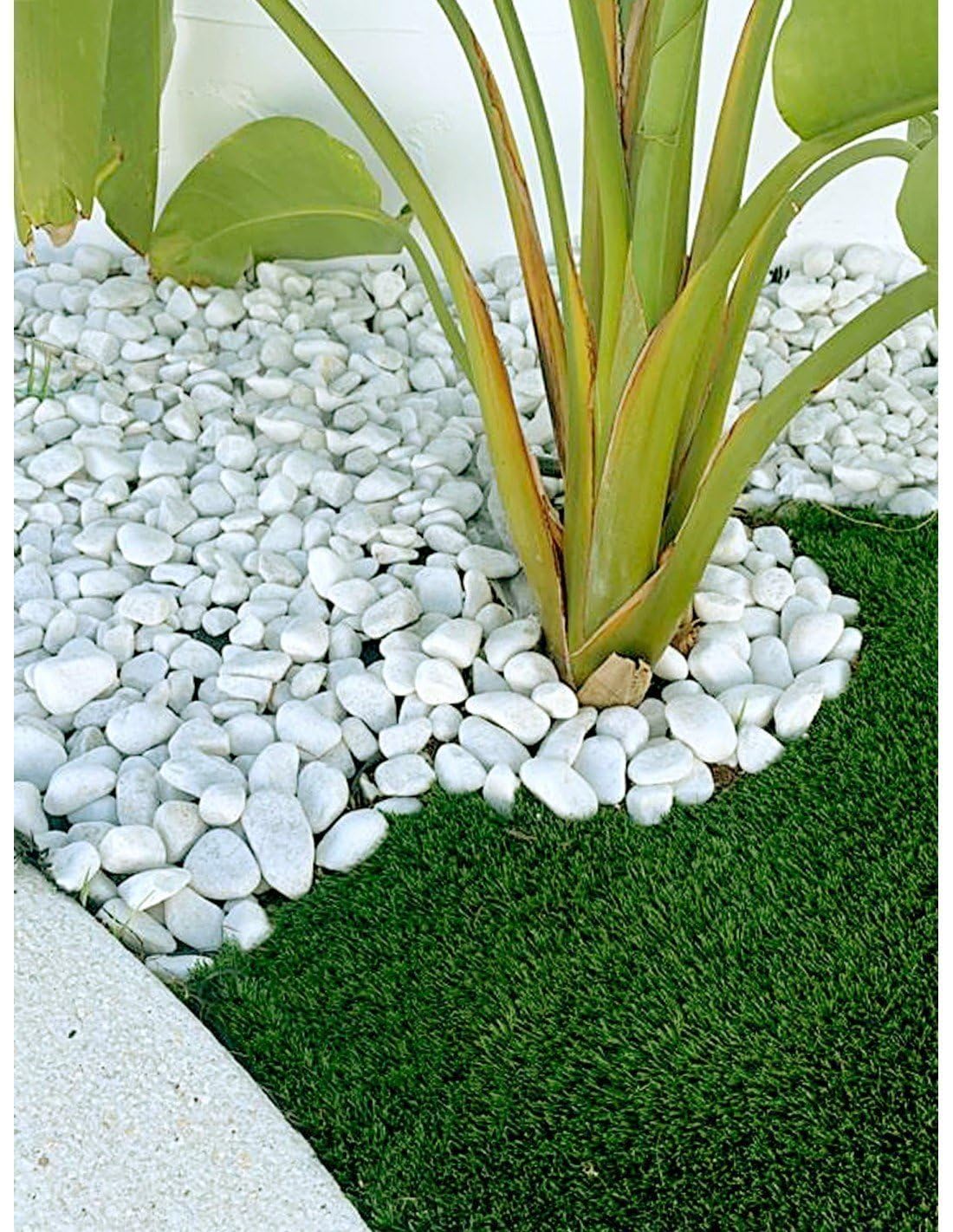 Jardin202 - Piedras de Canto Rodado Blanco 25kg – Decoración Jardín Exterior y Macetas | Tamaños 20/25, 20/40 y 40/60 mm | 20/25 -
