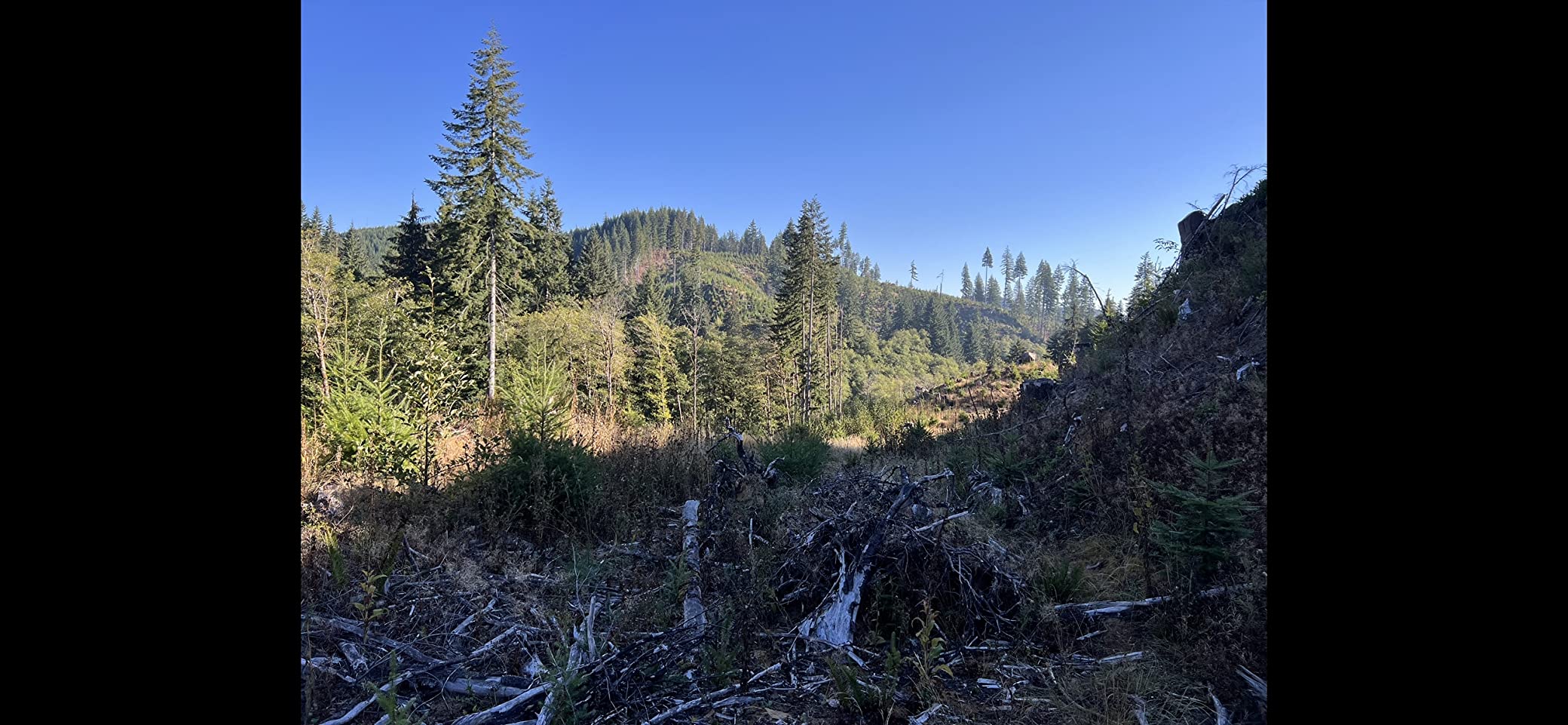 17/mo Finance AYIN Hunting Blind See Through with Carrying Bag, 23 Person Pop Up Ground